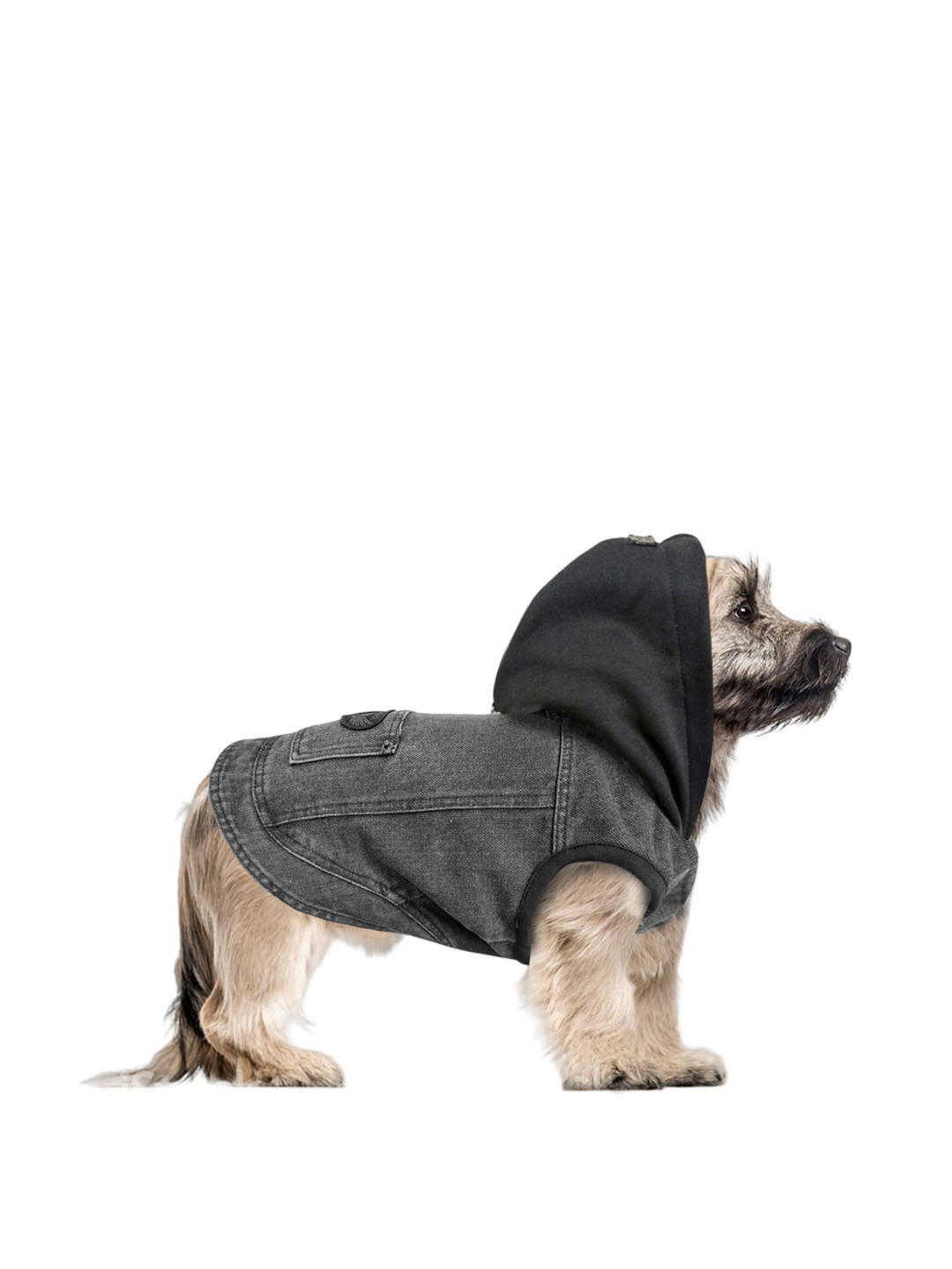 Milk & Pepper Black Dog Pure Cotton Hooded Sweatshirt