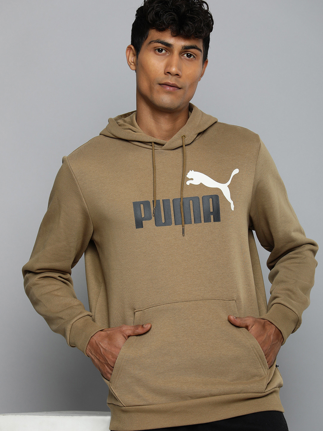 Puma Essential+ 2 Colour Big Logo Regular Fit Printed Hooded Sweatshirt