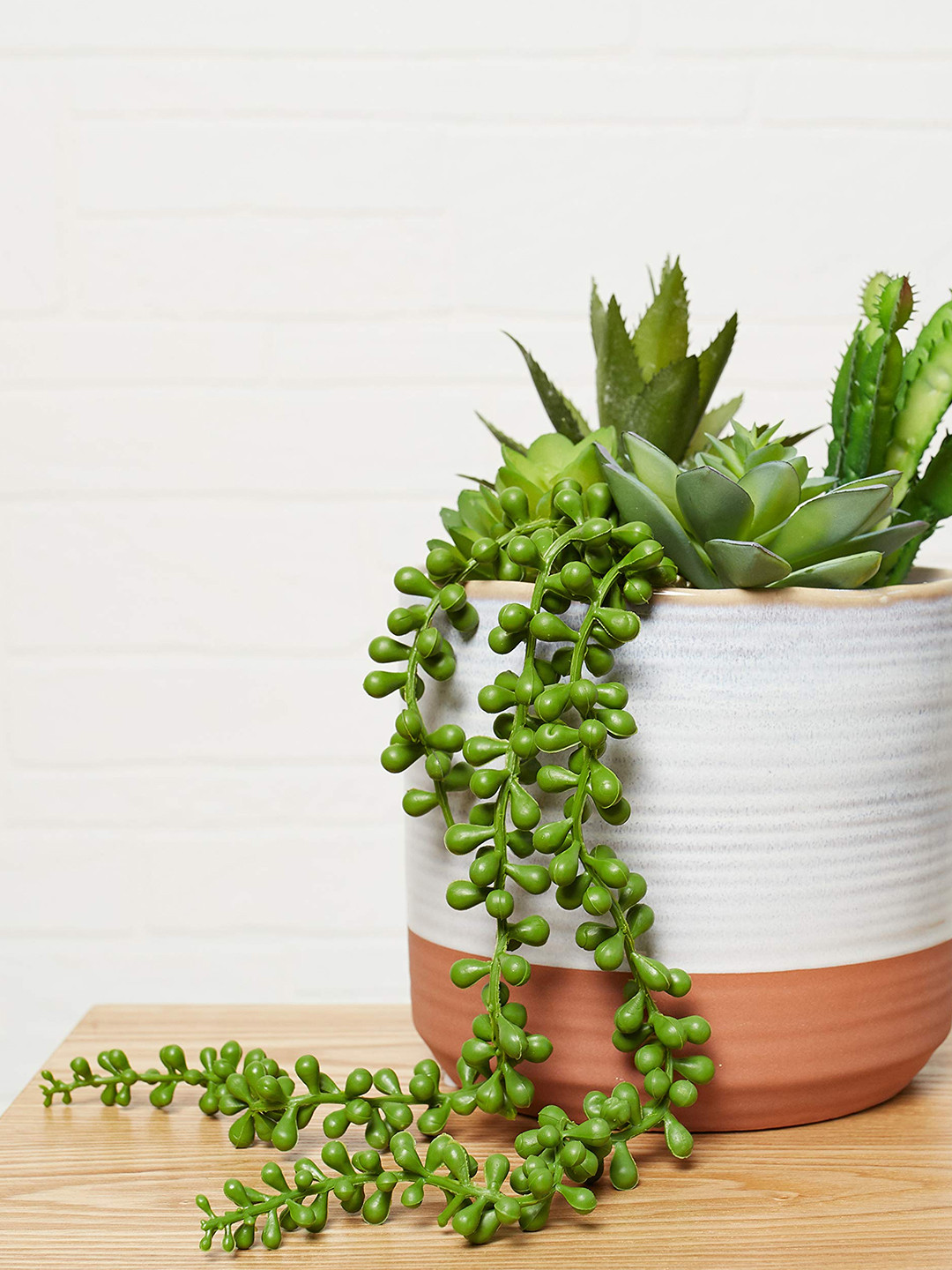 TIED RIBBONS Set of 6 Succulent Artificial Plants Hanging Decor