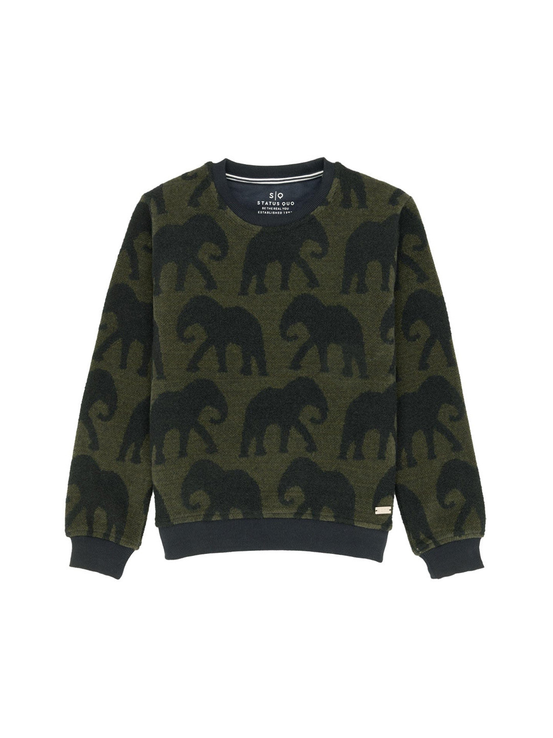 Status Quo Boys Conversational Printed Long Sleeves Lightweight Cotton Pullover