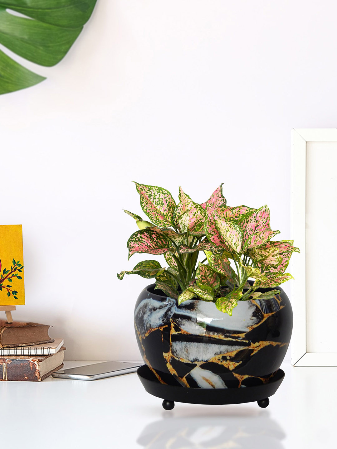 ecofynd Black Printed Metal Planter With Saucer Plate