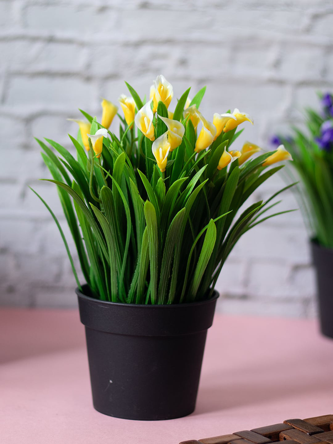 MARKET99 Green & Black Artificial Flower Plant With Pot