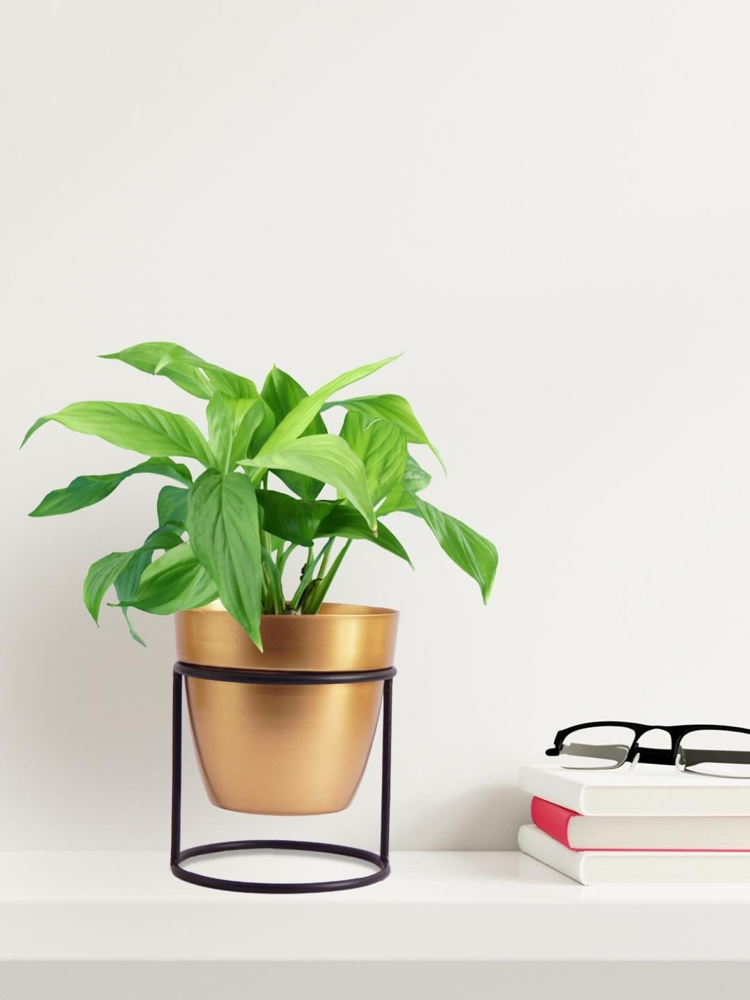 ecofynd Metal Planter With Stand