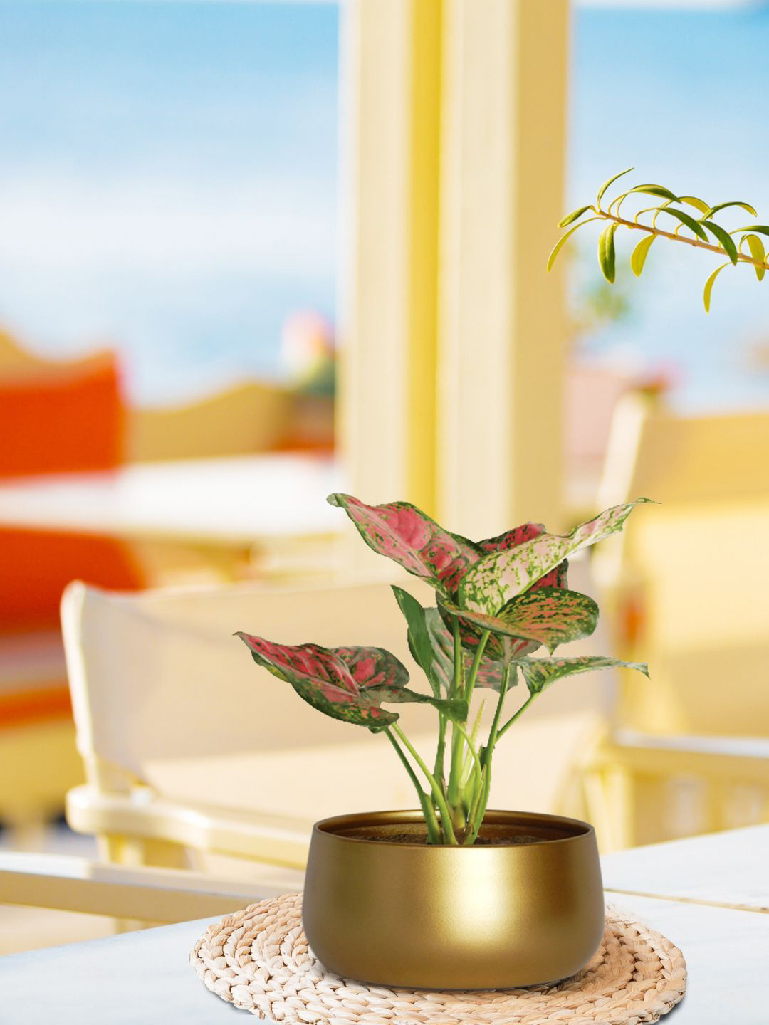 ecofynd Zoe Golden Metal Planter