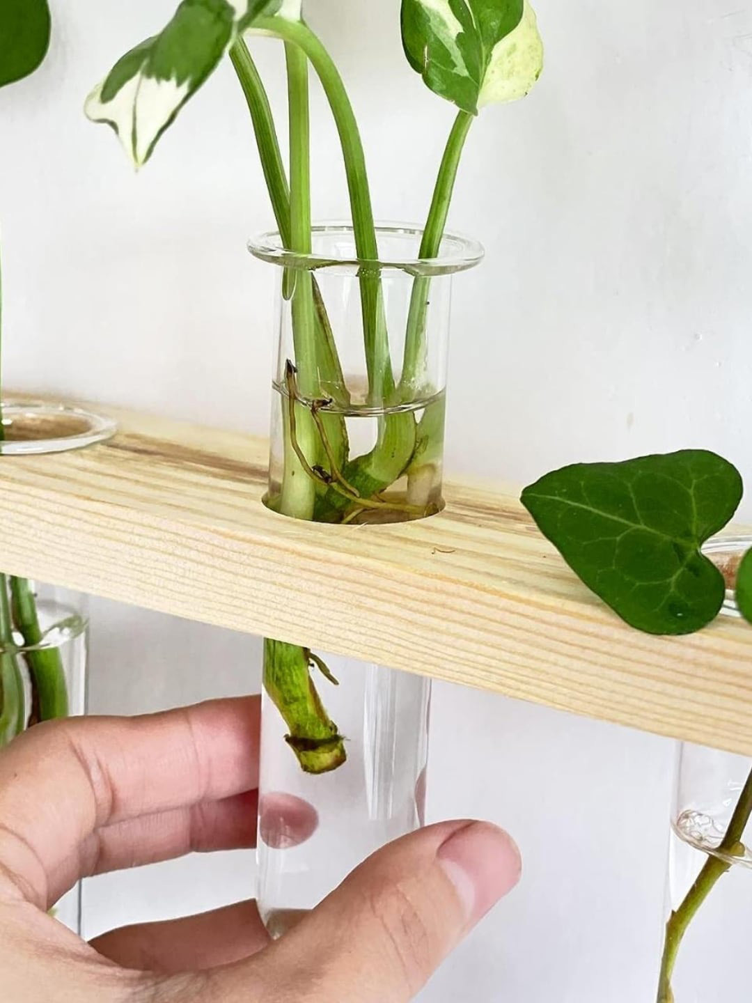 ecofynd Off White & Transparent 1-Tier Wall Hanging Test Tube Planter with Wooden Holder