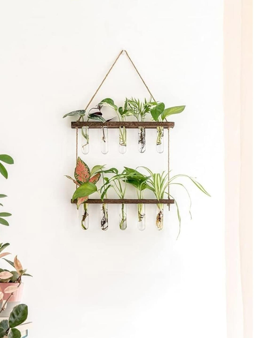 ecofynd Off White 10 Pcs Test Tube & 2-Tier Wall Hanging Planter With Wooden Holder