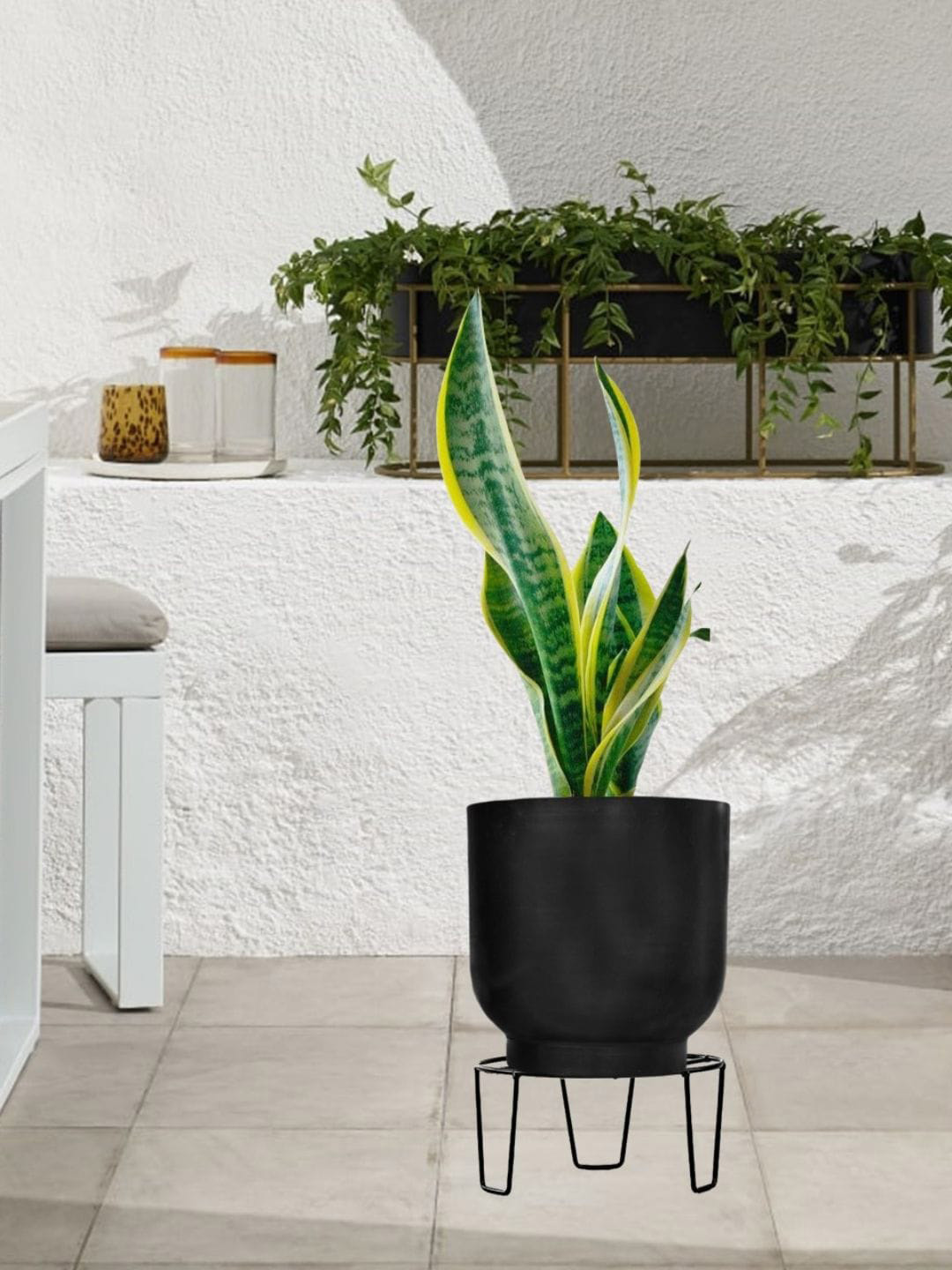 ecofynd Black Round Metal Planter Stand