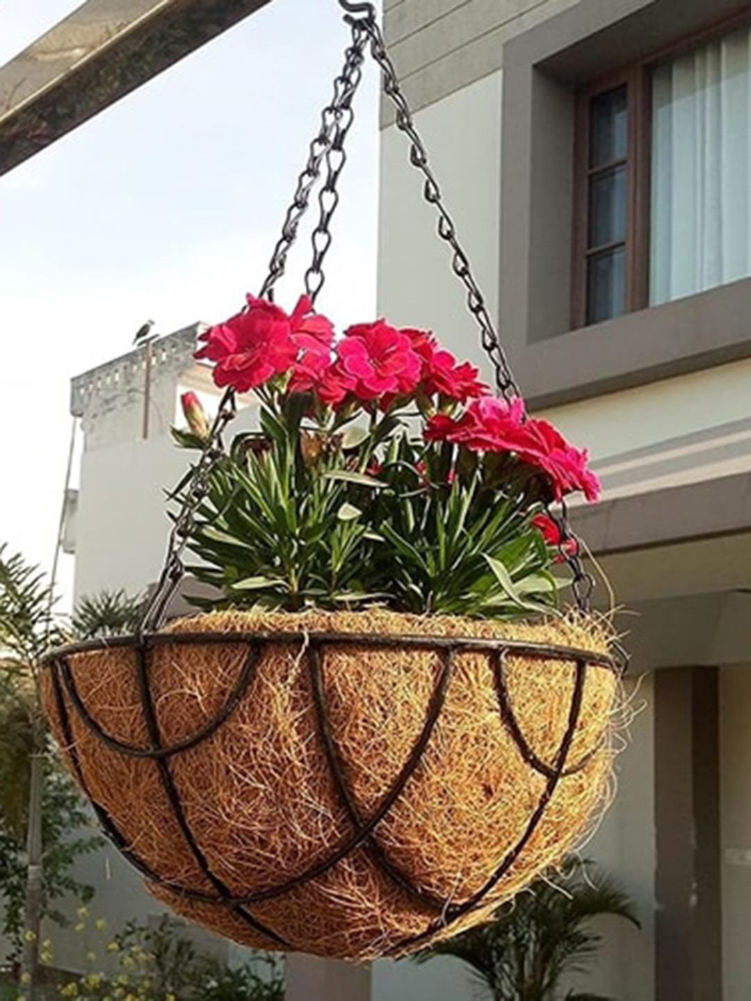 Garden Deco 4 Pcs Black & Brown Round Coco Coir Hanging Basket Planters