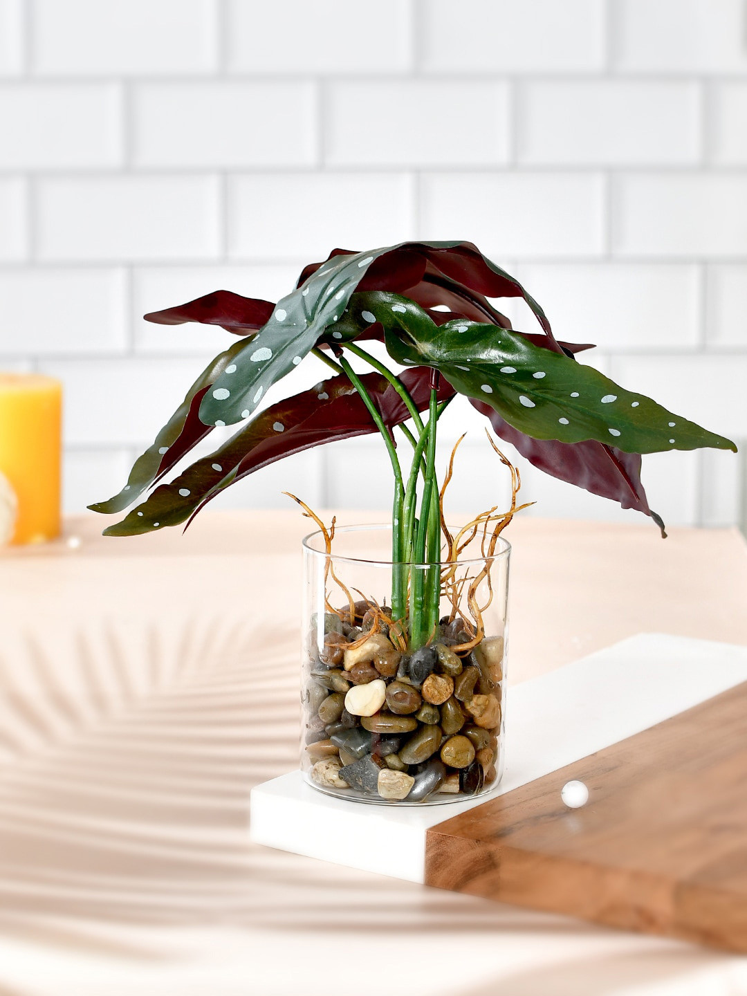 TAYHAA Green Artificial Begonia Plant With Ceramic Pot