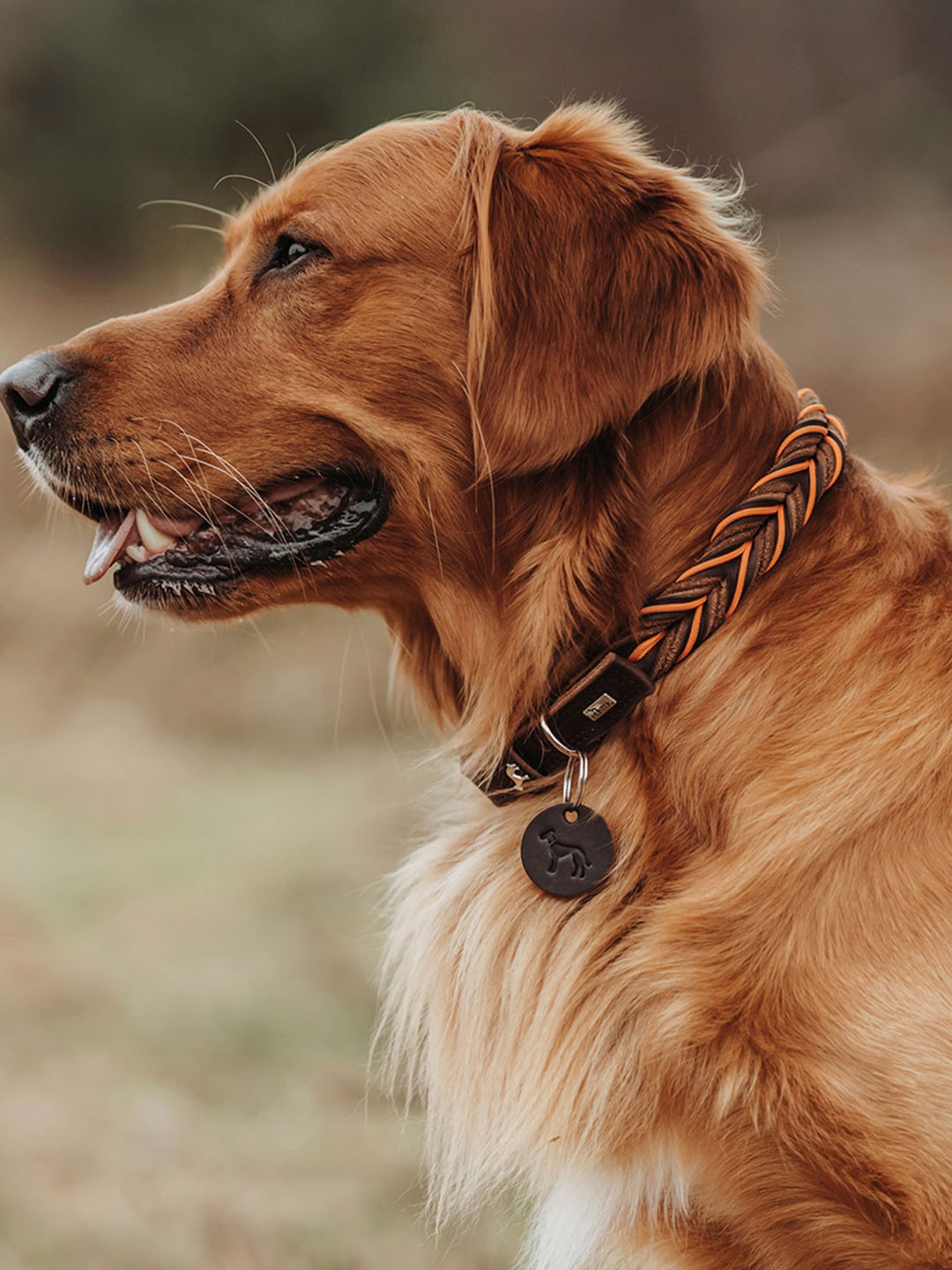 HUNTER Self Design Hypo-Allergenic Dog Collar