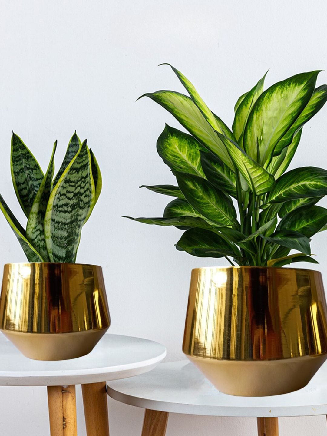 ecofynd 2 Pcs Golden Alice Metal Planters