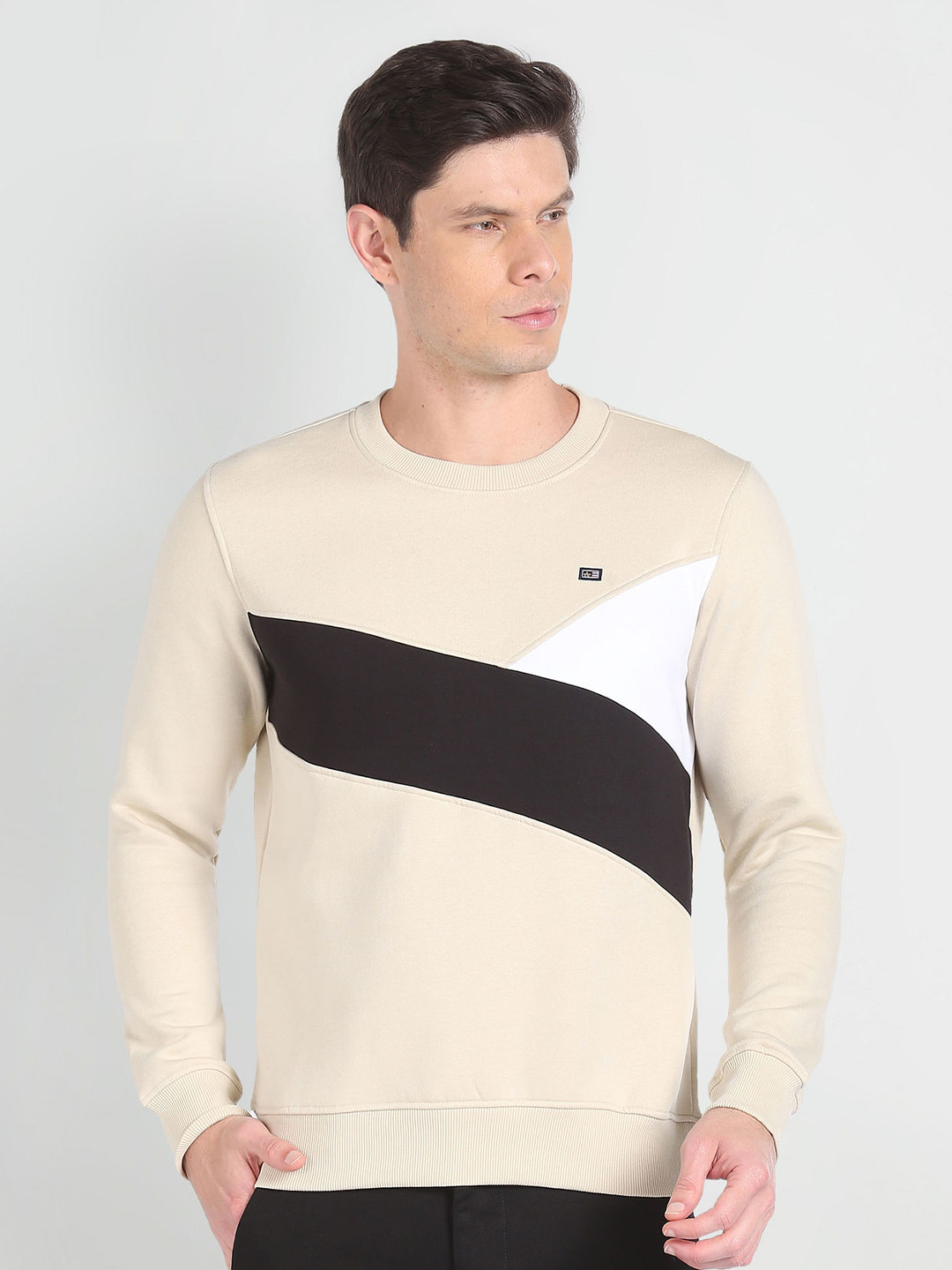 Arrow Sport Colourblocked Round Neck Long Sleeves Ribbed Hem Pullover Sweatshirt