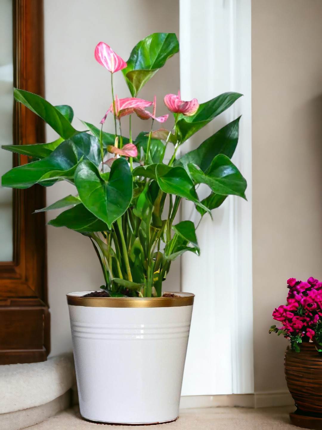 ecofynd White 3 Pieces Round Large Metal Planter Pot