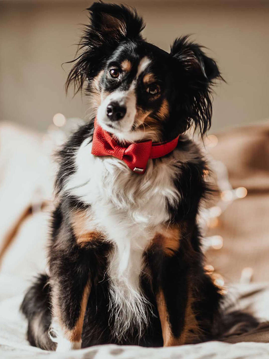 HUNTER Red Pure Leather Pet Bows and Ties