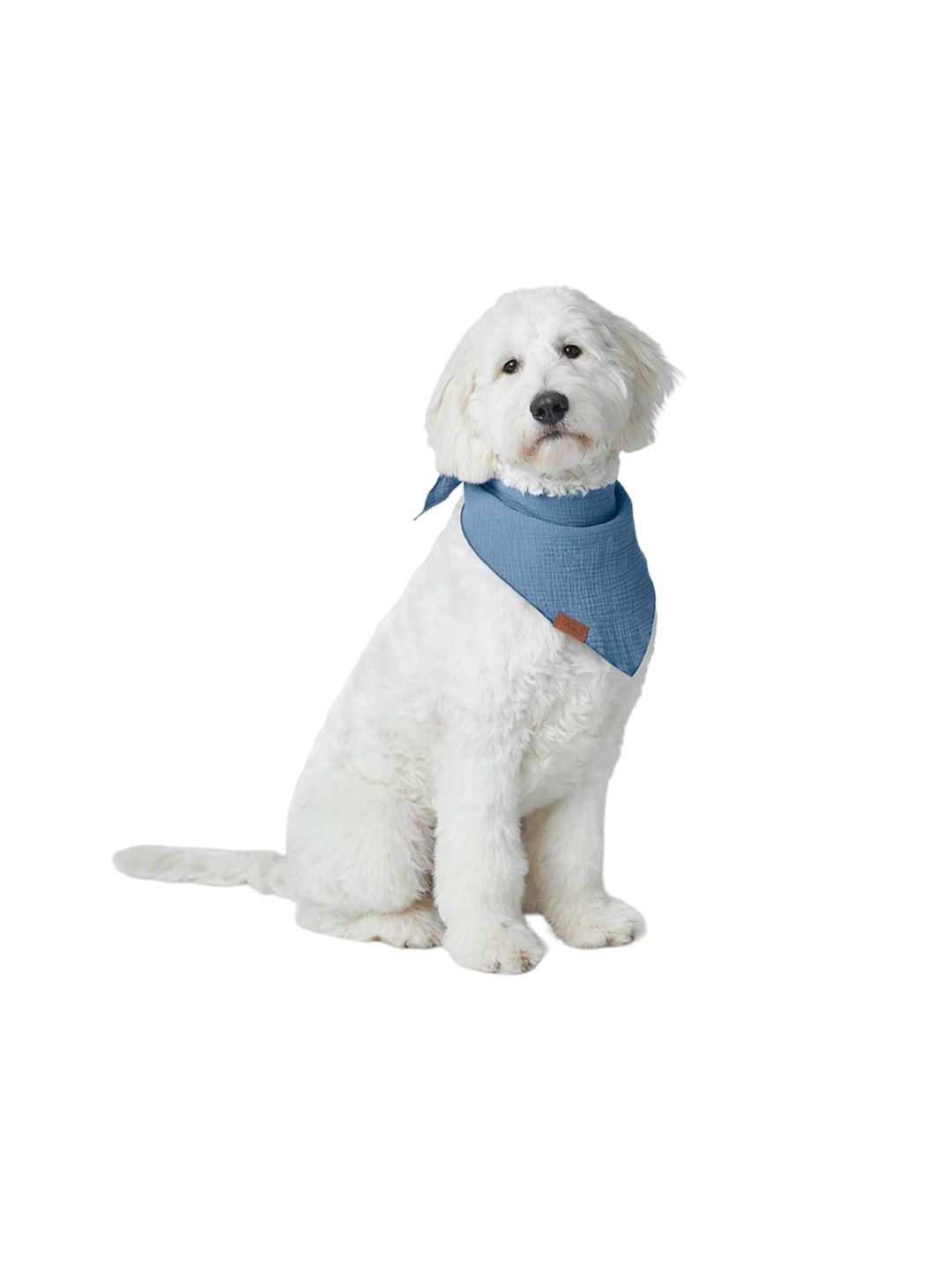 HUNTER Blue Textured Hypo-Allergenic Pure Cotton Pet Bandanas