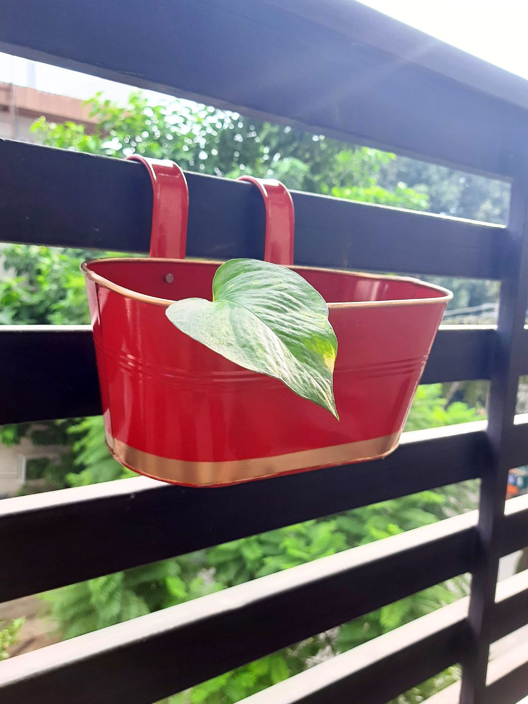 ecofynd 6 Pcs Red Metal Oval Balcony Hanging Planter