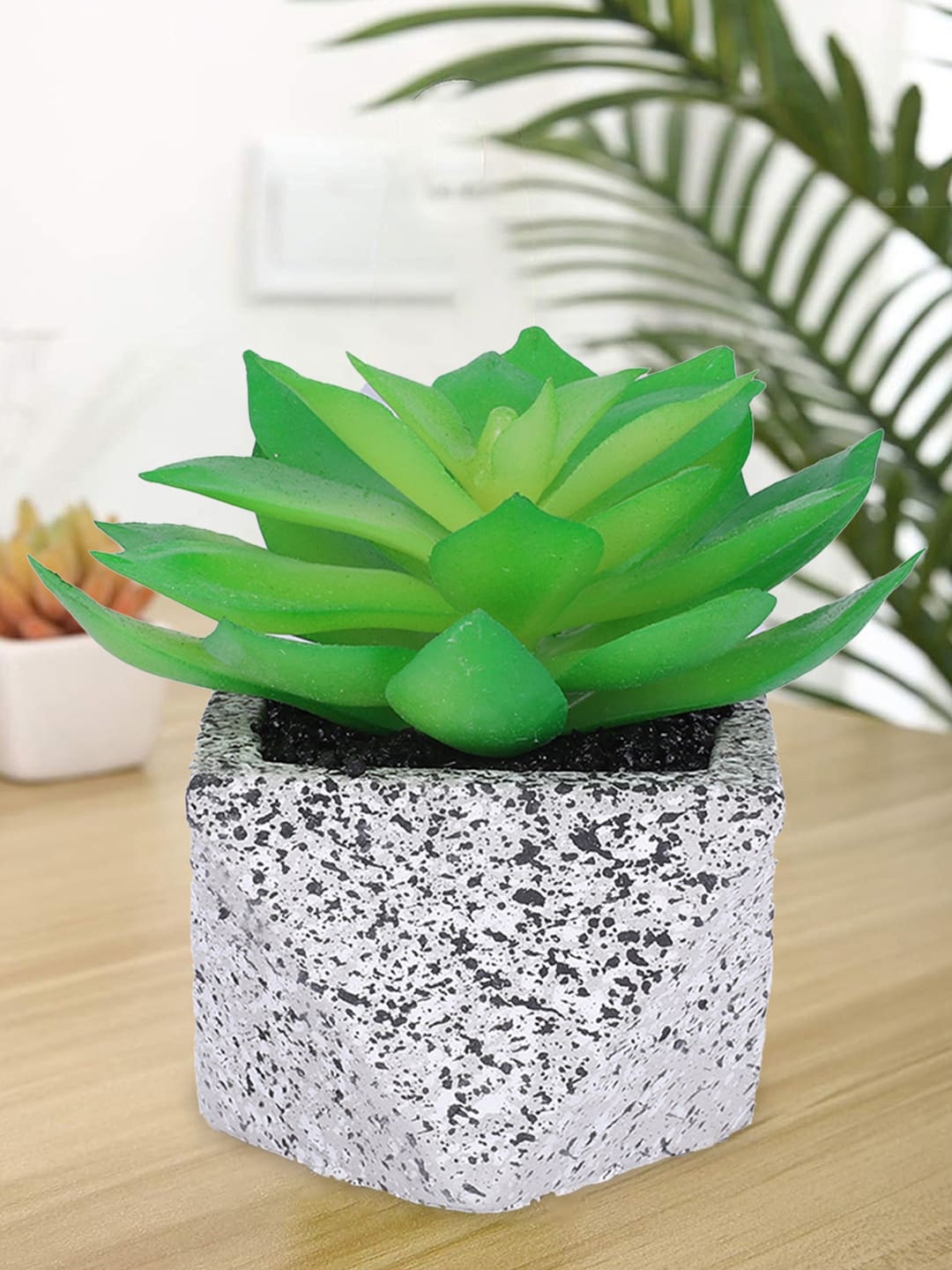 Kuber Industries small Green Succulent Artificial Plant With stone looking pot showpiece