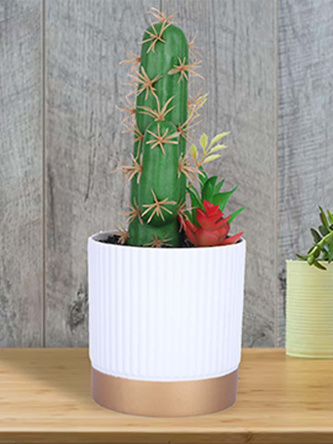 Kuber Industries Green & White Artificial Succulent Plant With Pot