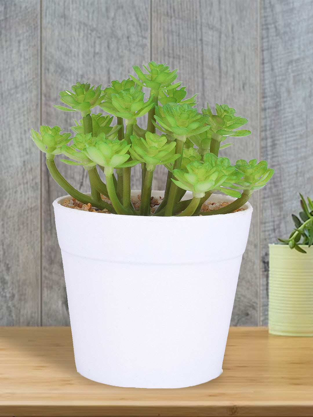 Kuber Industries Green & White Artificial Succulent Plant With Pot Outdoor Planters