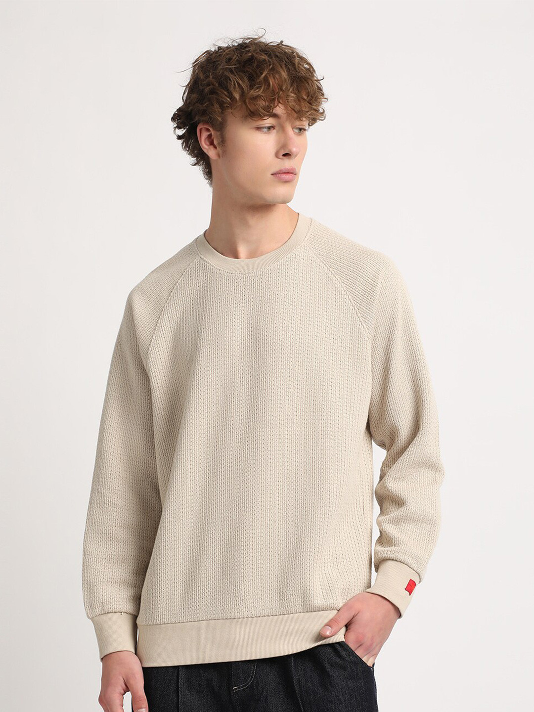 THE BEAR HOUSE Self Design Relaxed Fit Raglan Sleeves Sweatshirt