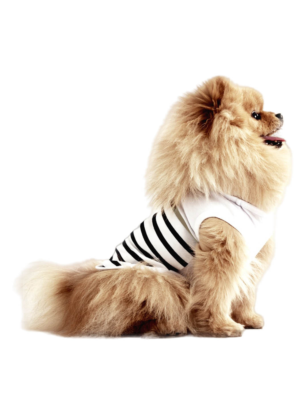 Milk & Pepper Blue & White Striped Brieuc Dog Tshirts