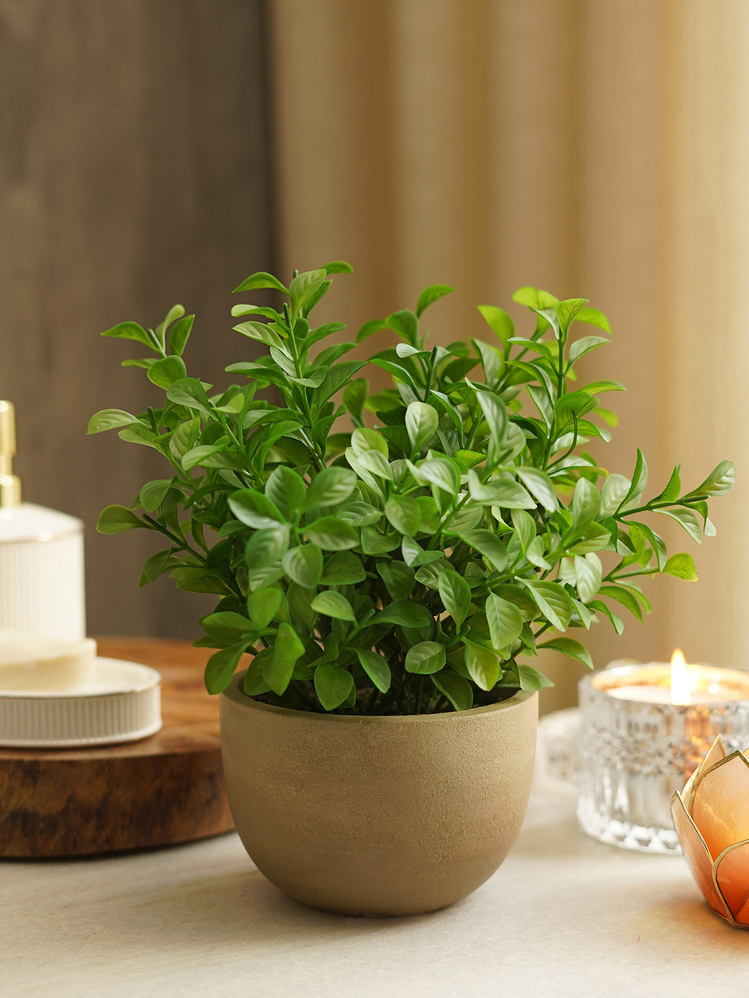 Pure Home and Living  Green Artificial Melia Azedarach Plant with Pot