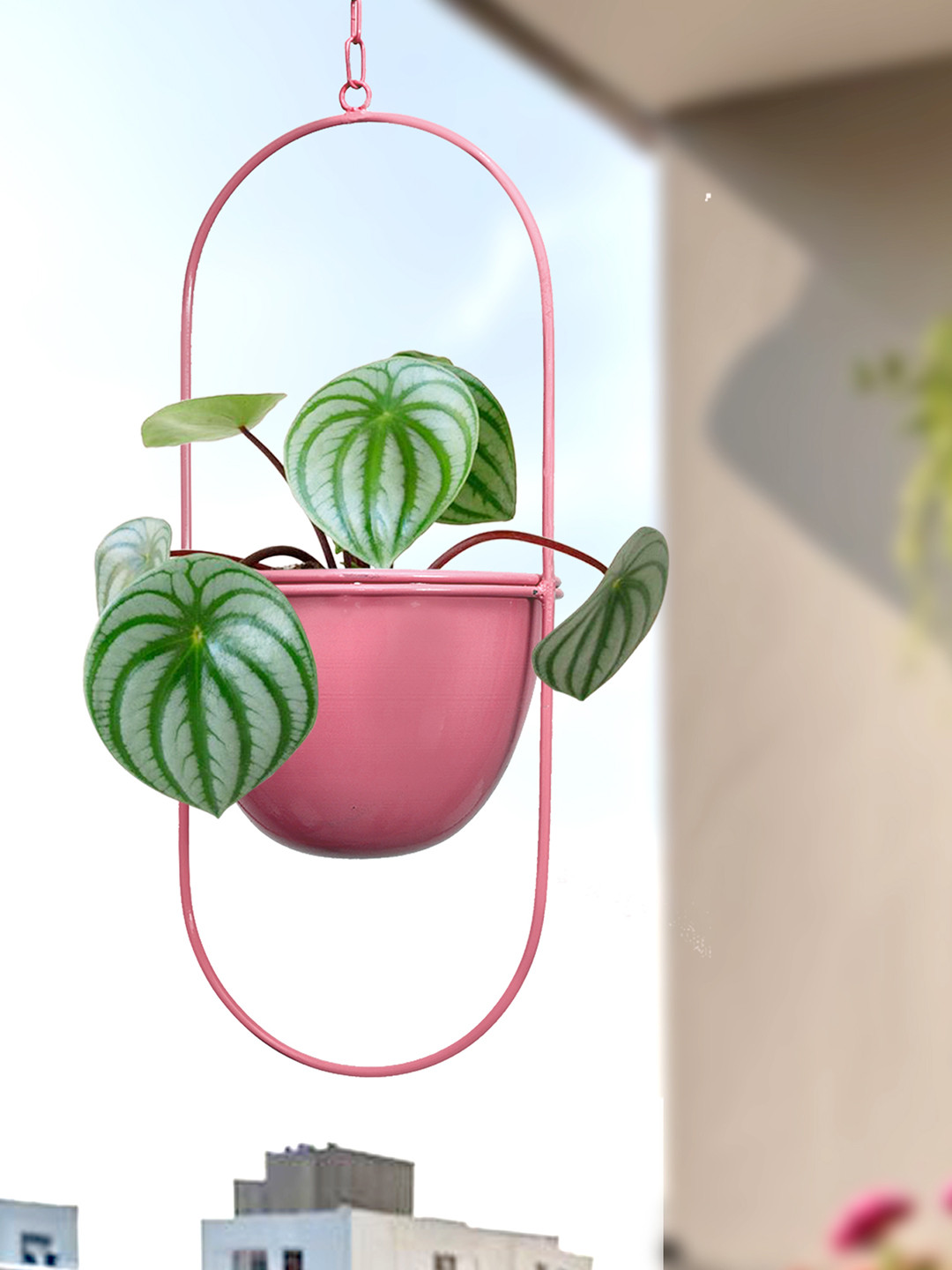 Homesake Pink Oval Planter With Hanging Metal Pot Stand