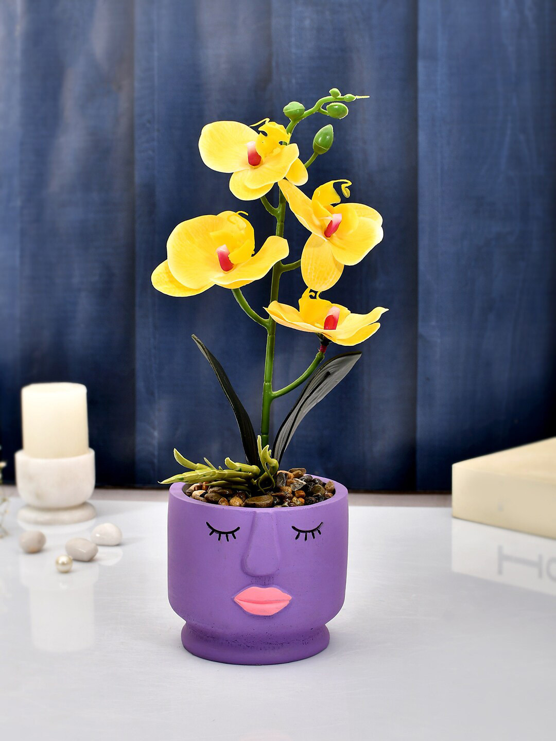 TAYHAA Yellow & Purple Orchids Plant With Ceramic Pot