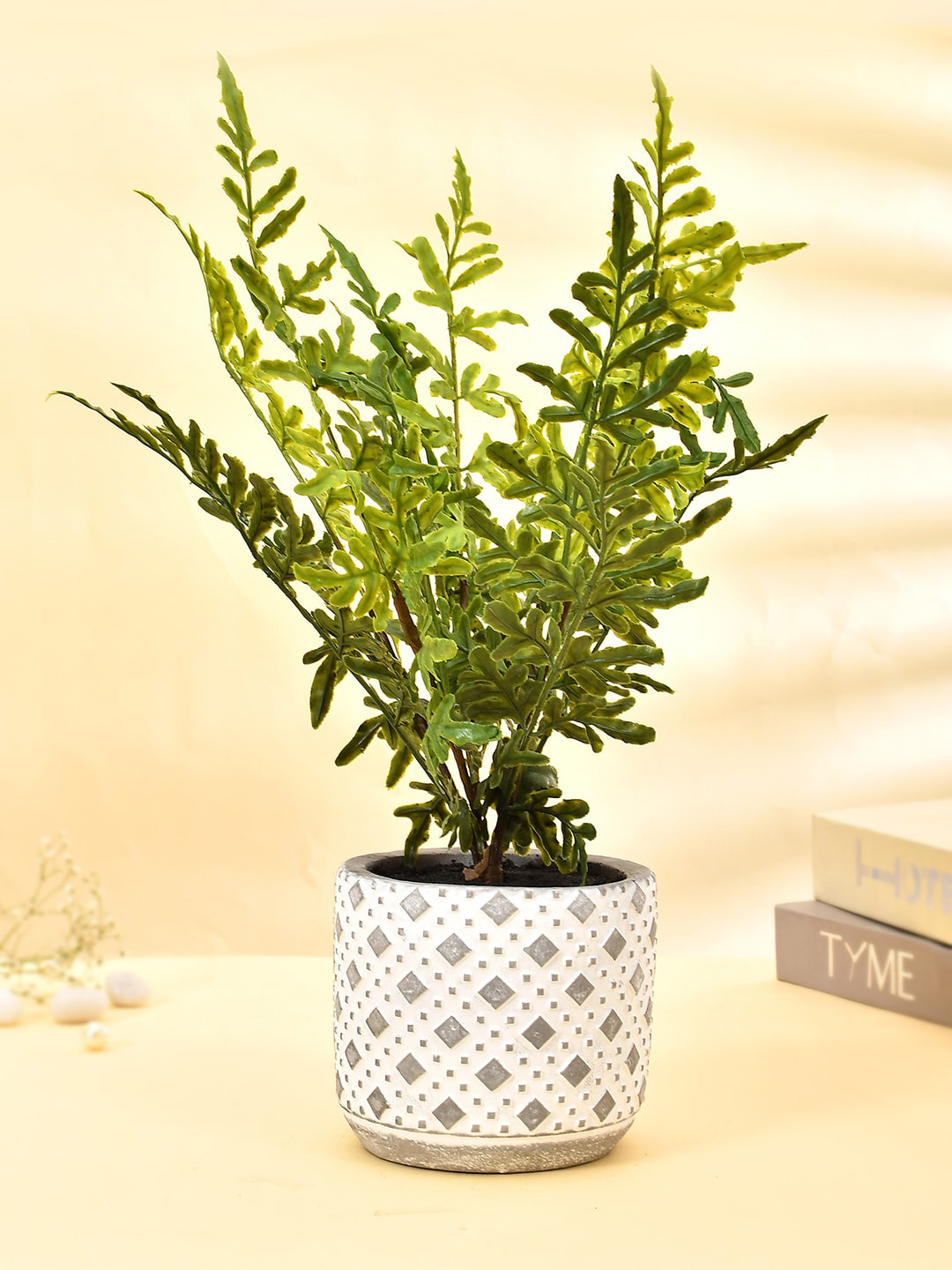 TAYHAA Grey & Green Fern Plant With Ceramic Pot
