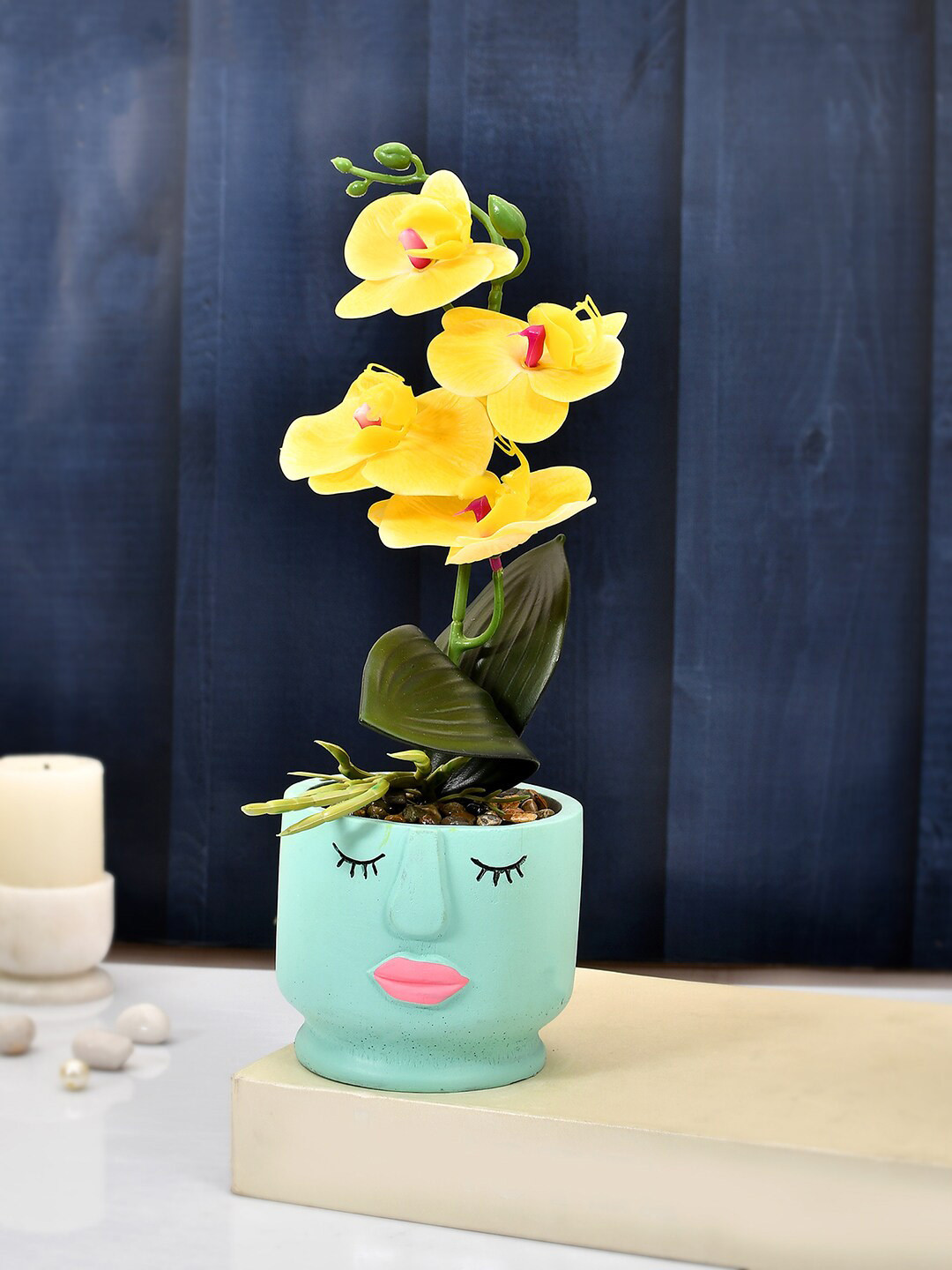 TAYHAA Blue & Yellow Orchid Plant With Ceramic Pot