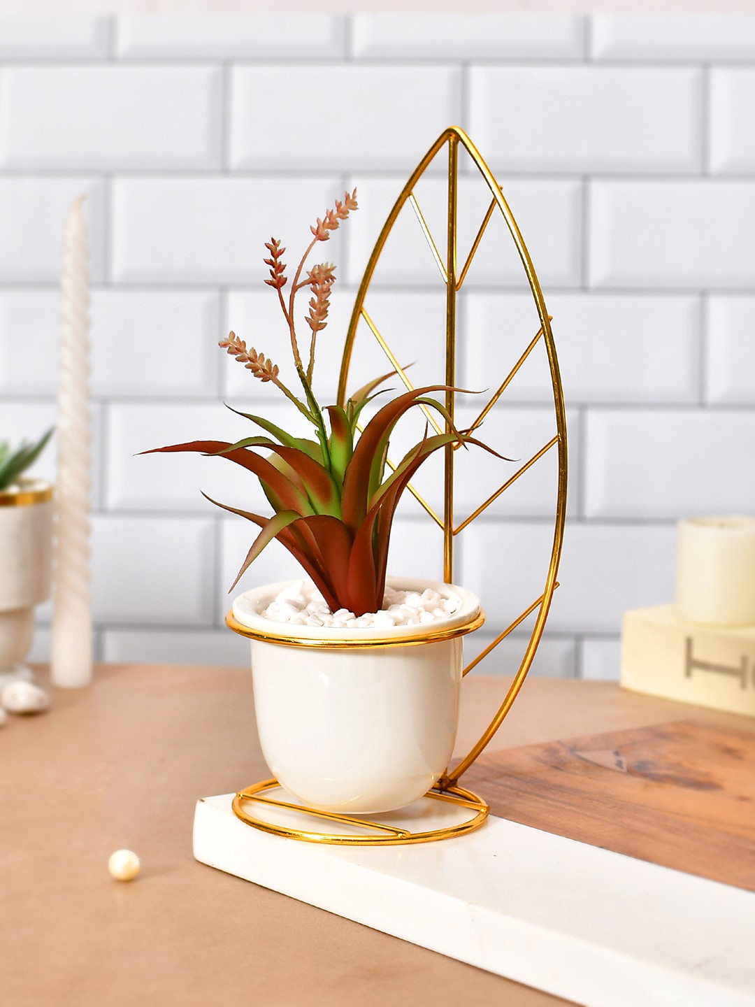 TAYHAA Green & White Succulent With Ceramic Pot