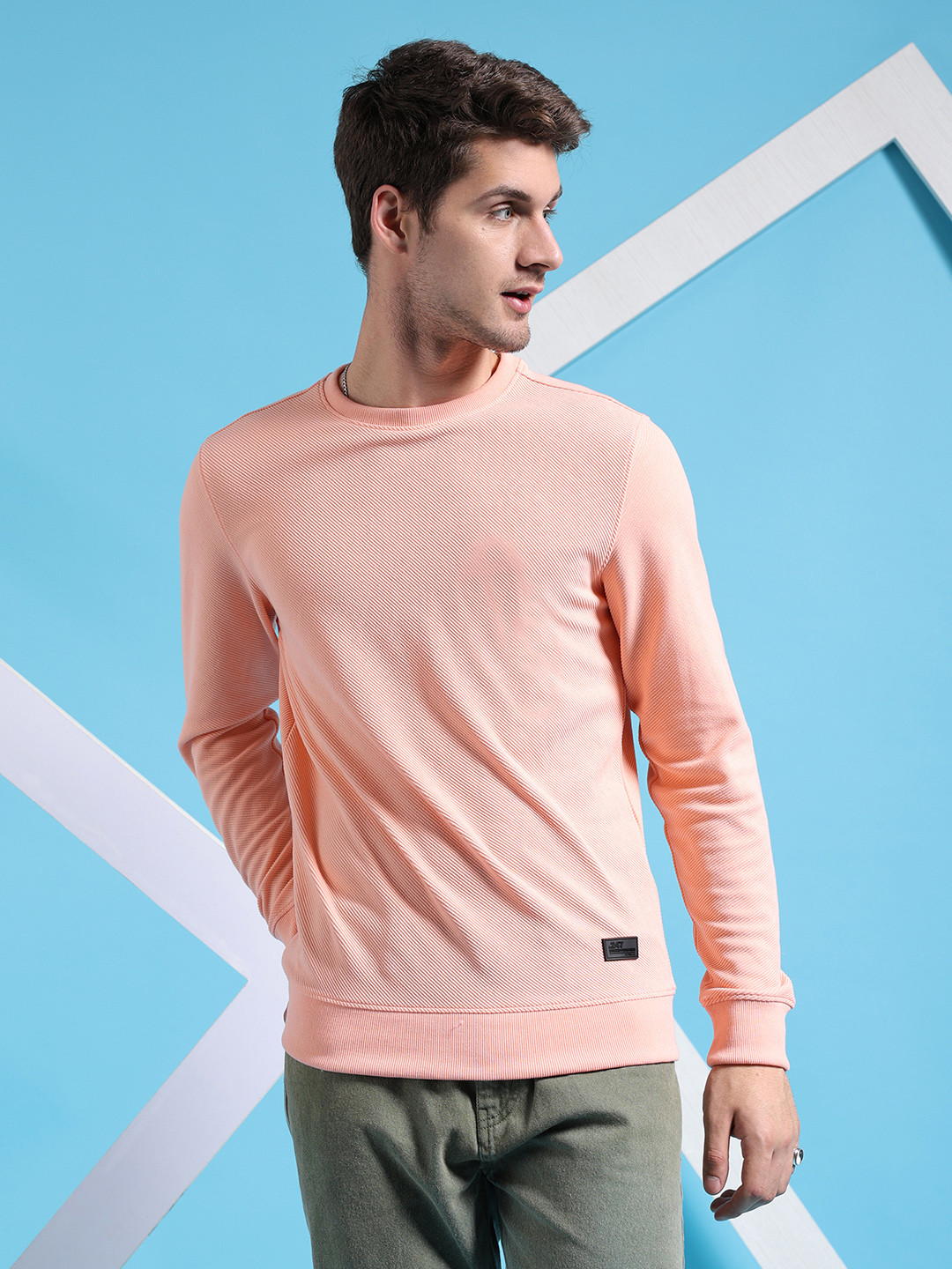 The Indian Garage Co Self Design Textured Long Sleeve Pullover Sweatshirt