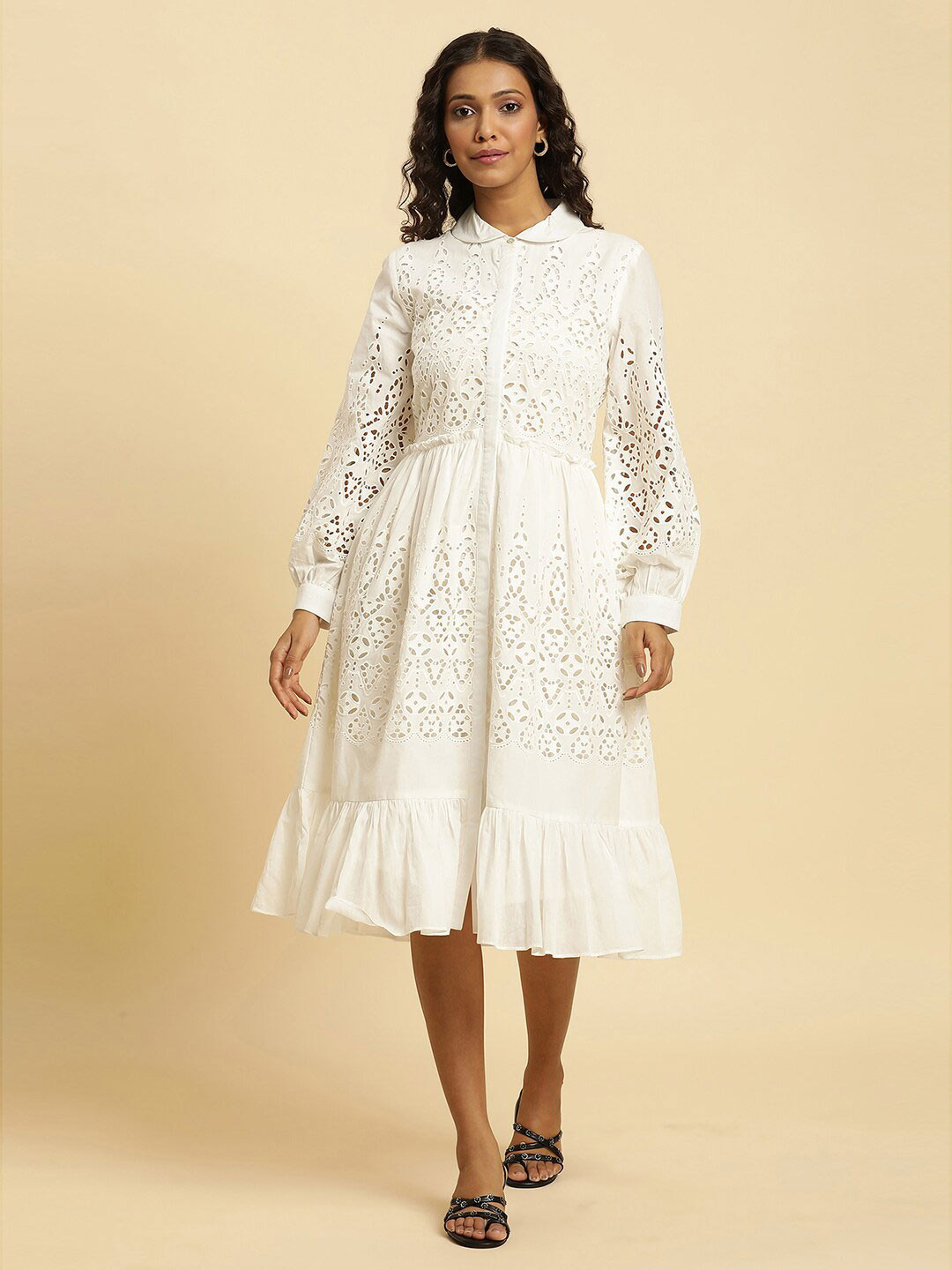 W Self Design Peter Pan Collar Cuffed Sleeves Schiffli Fit & Flare Dress