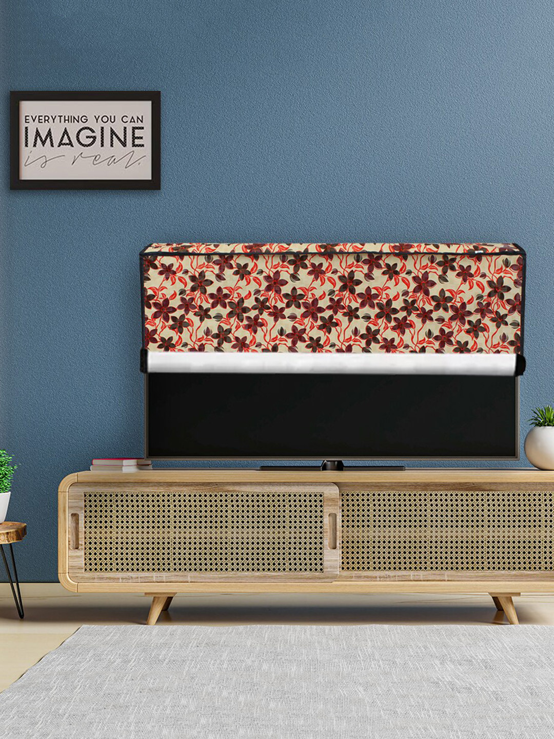 DREAM CARE Transparent & Printed Flap - 49 Inch LED TV Cover, Waterproof LED TV Protector