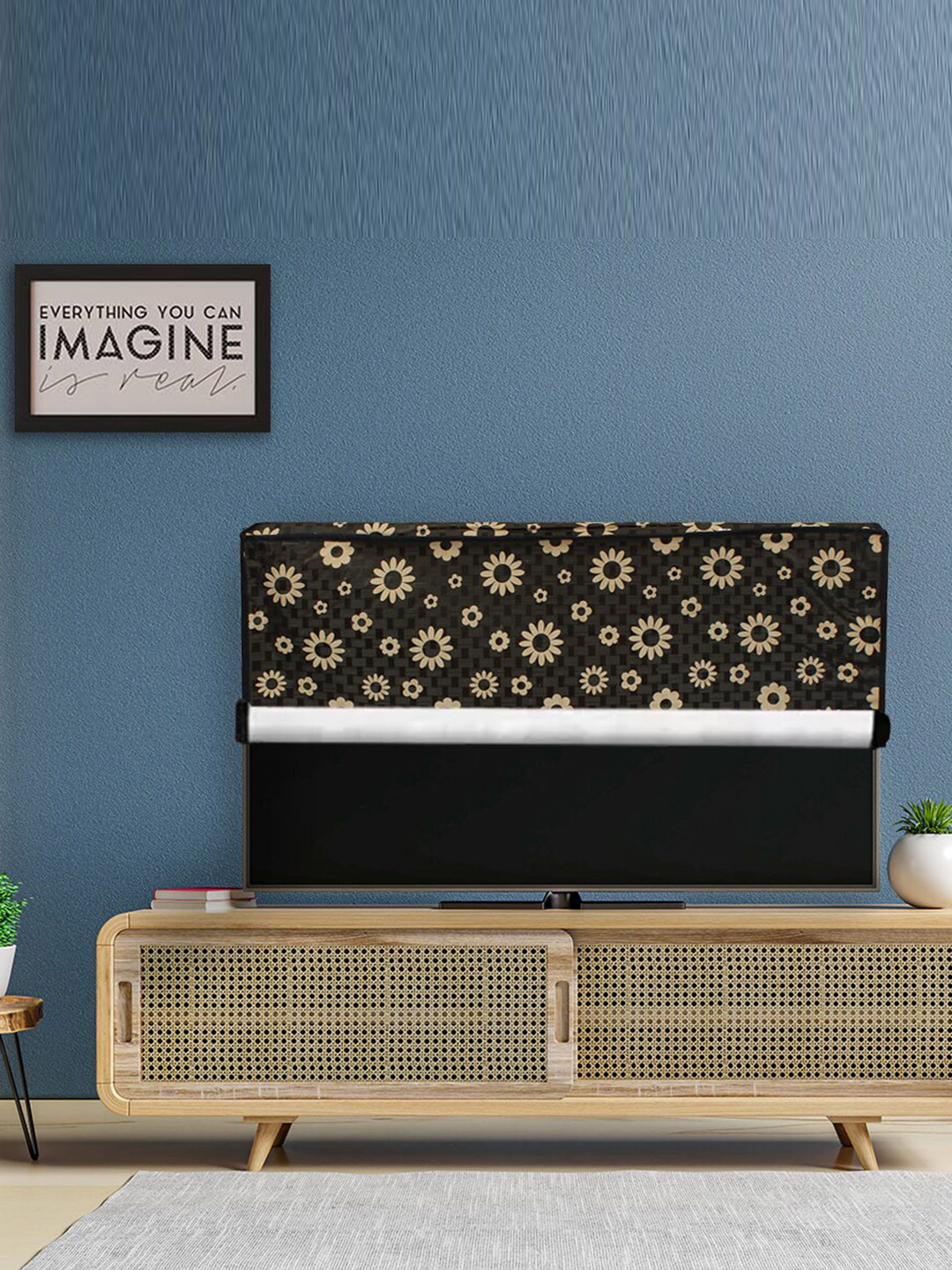 DREAM CARE Transparent & Printed Flap - 43 Inch LED TV Cover, Waterproof LED TV Protector