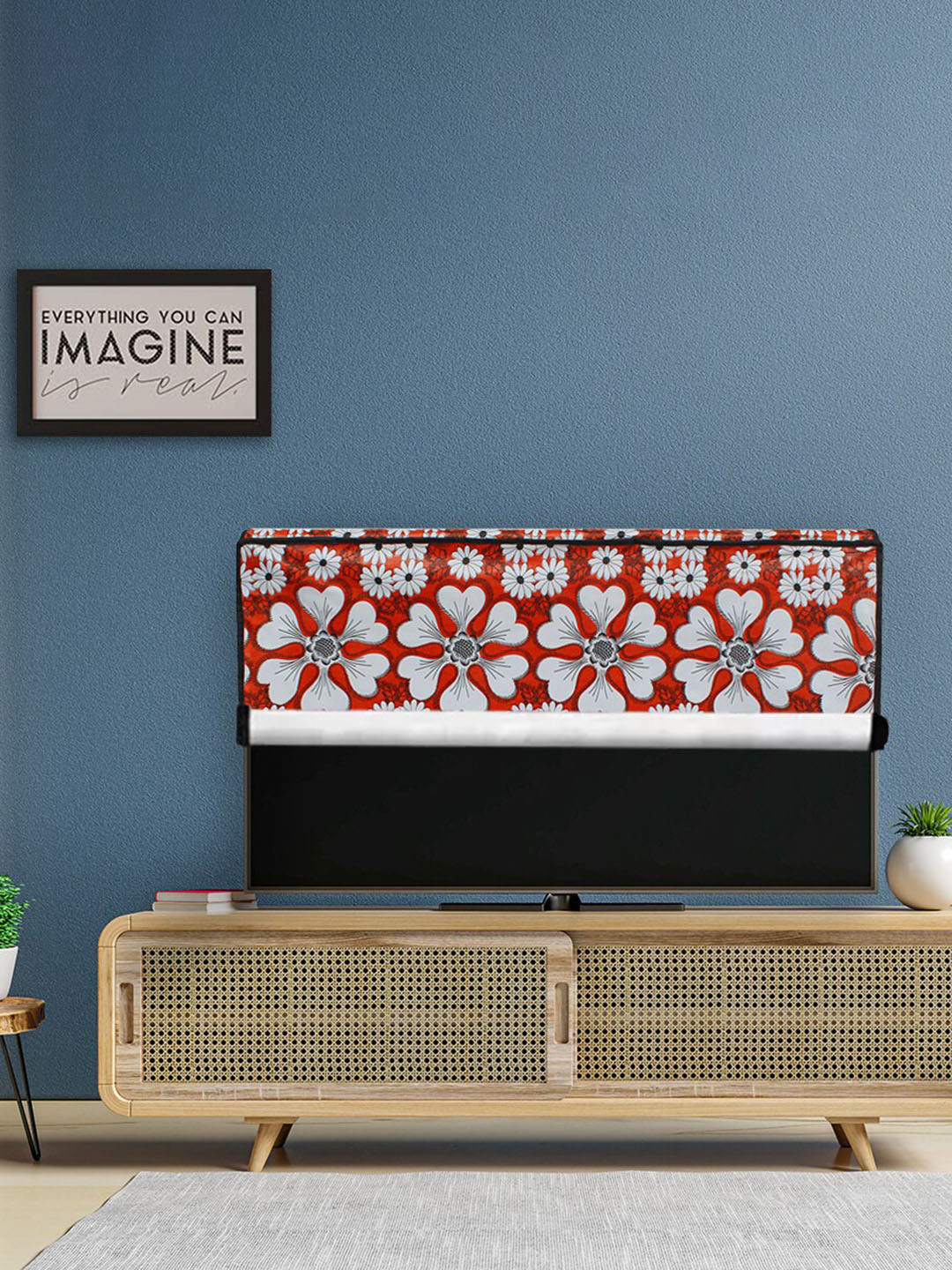 DREAM CARE Transparent & Printed Flap - 49 Inch LED TV Cover, Waterproof LED TV Protector