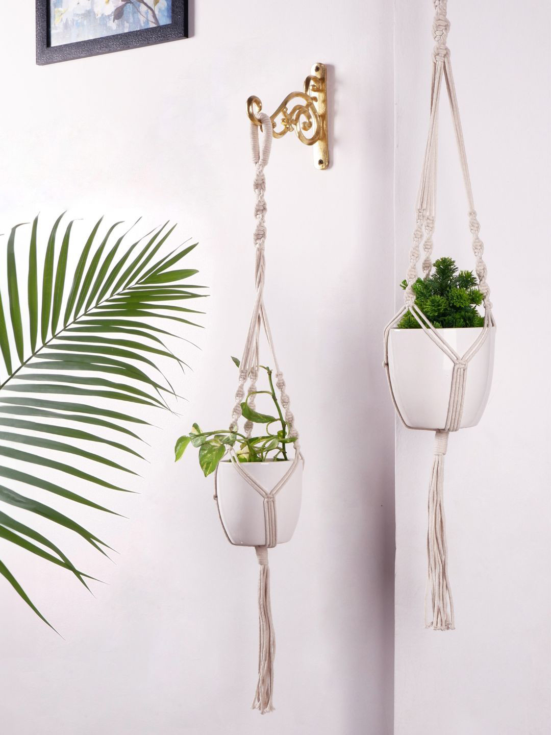 ecofynd Off-White 5 Pieces Macrame Plant Hangers