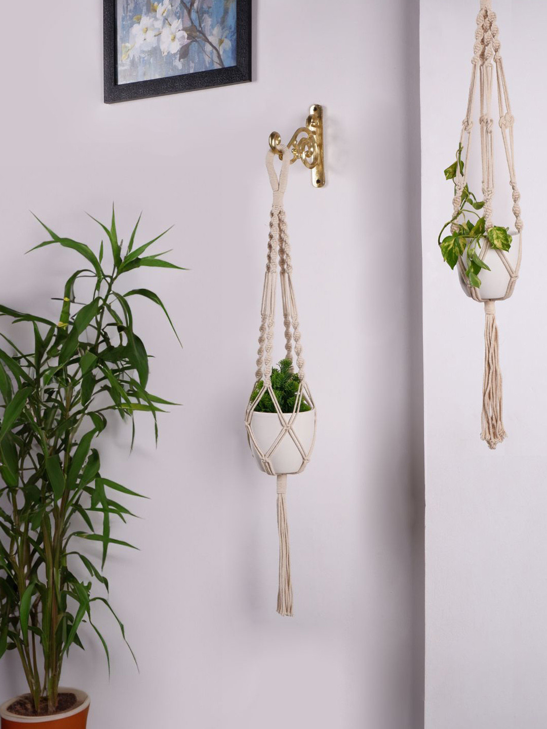 ecofynd Off White 5 Pieces Macrame Plant Hanger