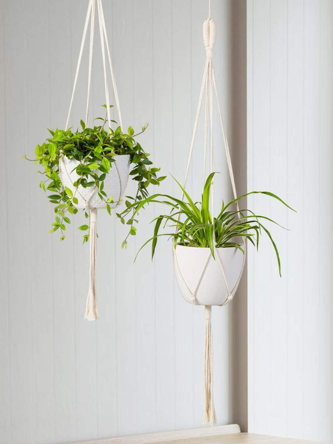 ecofynd Off White 5 Pieces Macrame Plant Hanger