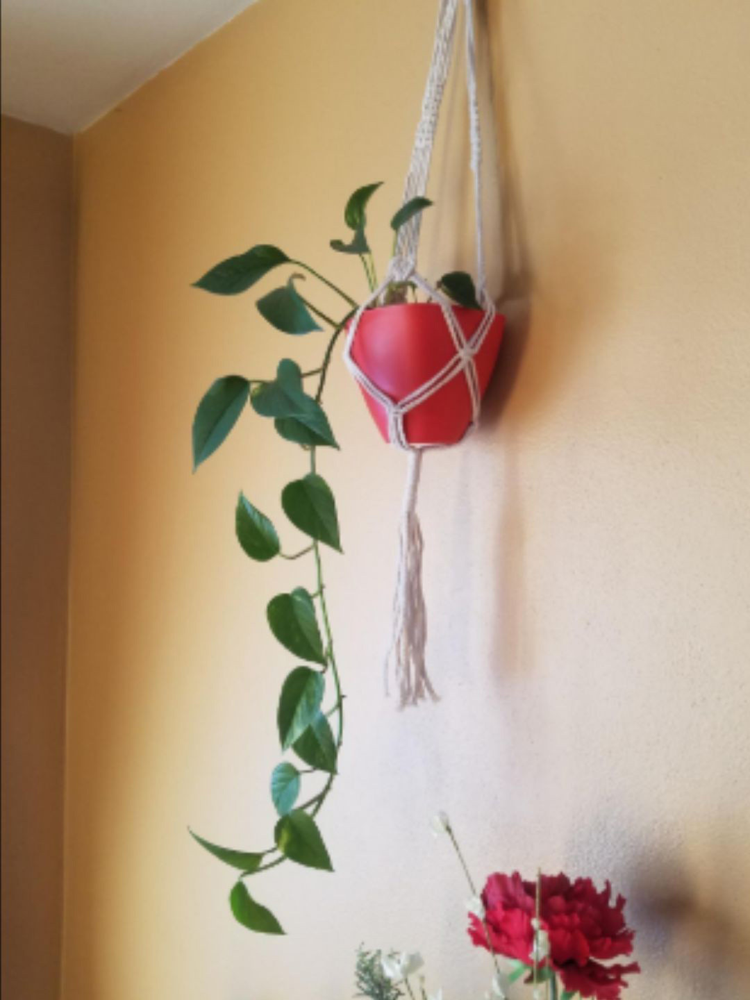 ecofynd 2 Pcs Off White Macrame Wall Planters