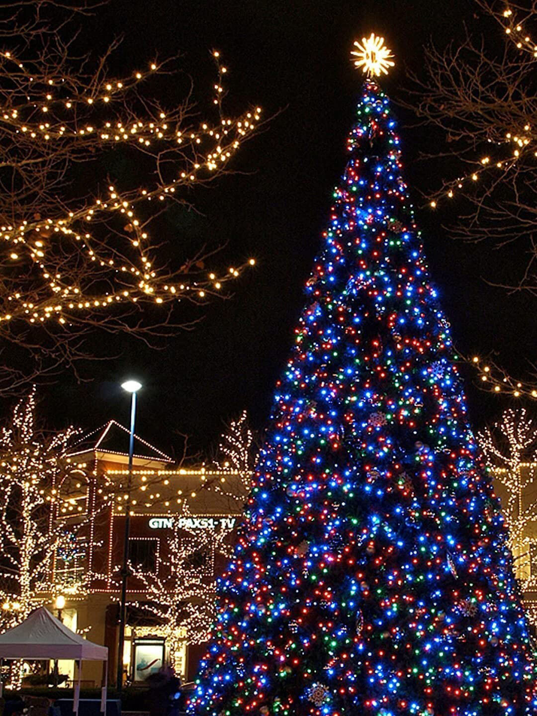 SKYFLY Green & Blue Rice Shape String Lights - 35 m