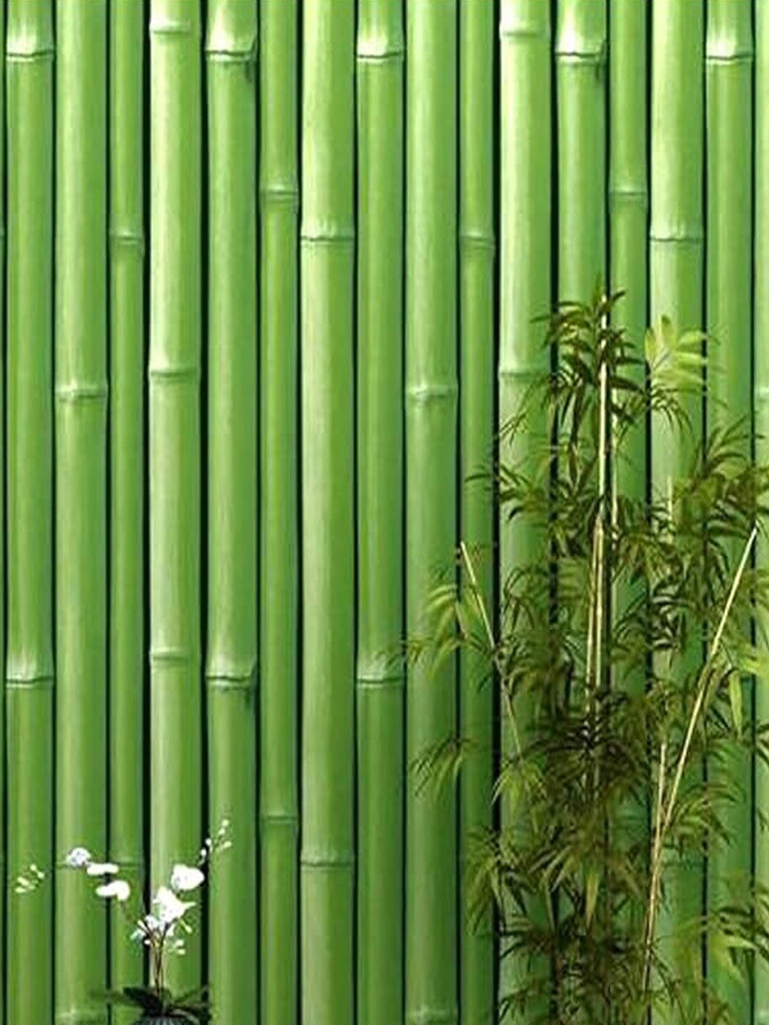 Univocean Green 3D Bamboo Pattern Peel & Stick Waterproof PVC Vinyl Wall Paper