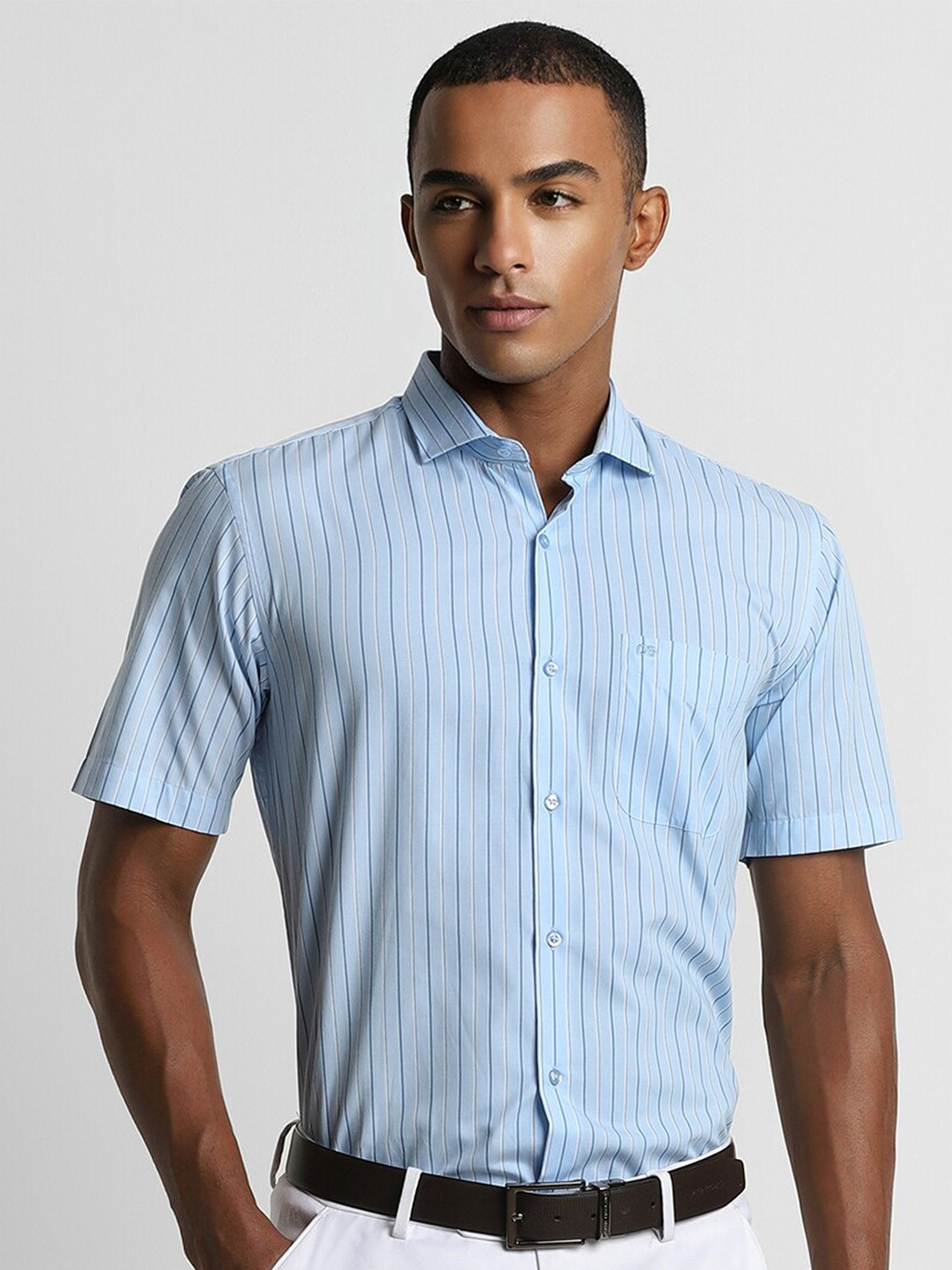 Peter England Striped Spread Collar Formal Shirt