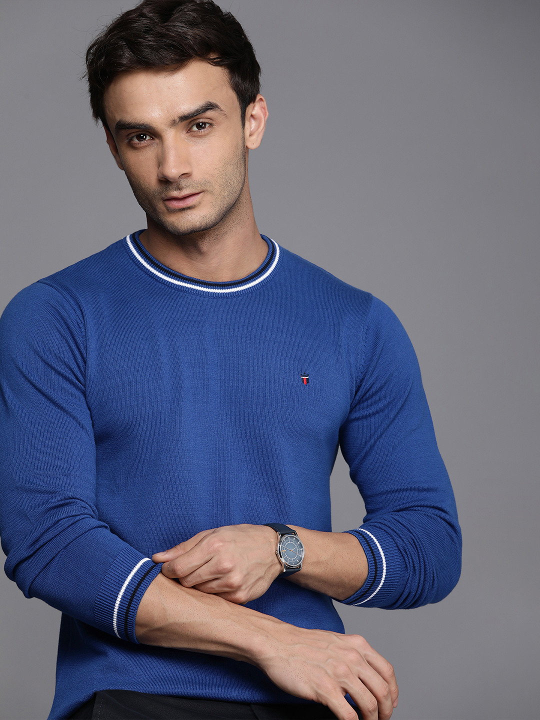 Louis Philippe Sport Pure Cotton Solid Pullover Sweaters