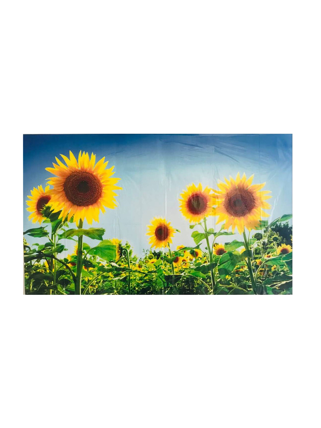 Jaamso Royals Yellow & Blue Sunflower Printed Heat Resistant Kitchen Wall Sticker