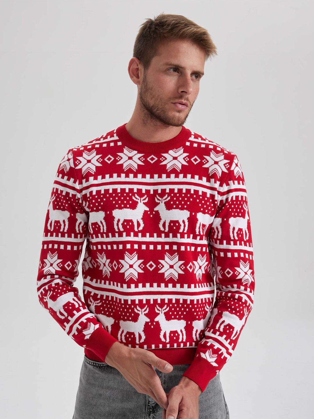 DeFacto Conversational Printed Round Neck Pullover Sweater