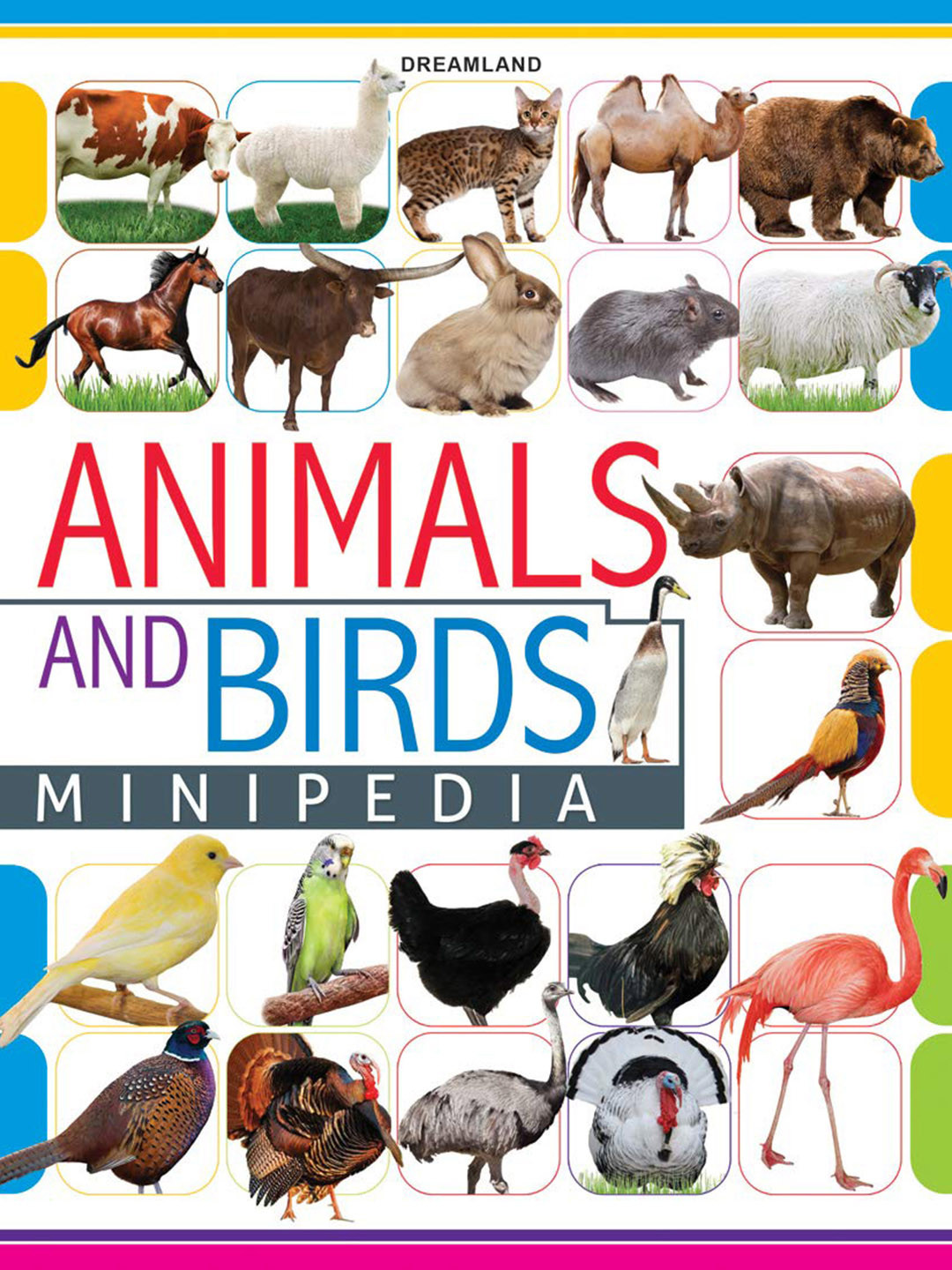 Dreamland Kids Printed Animals & Birds Minipedia Book