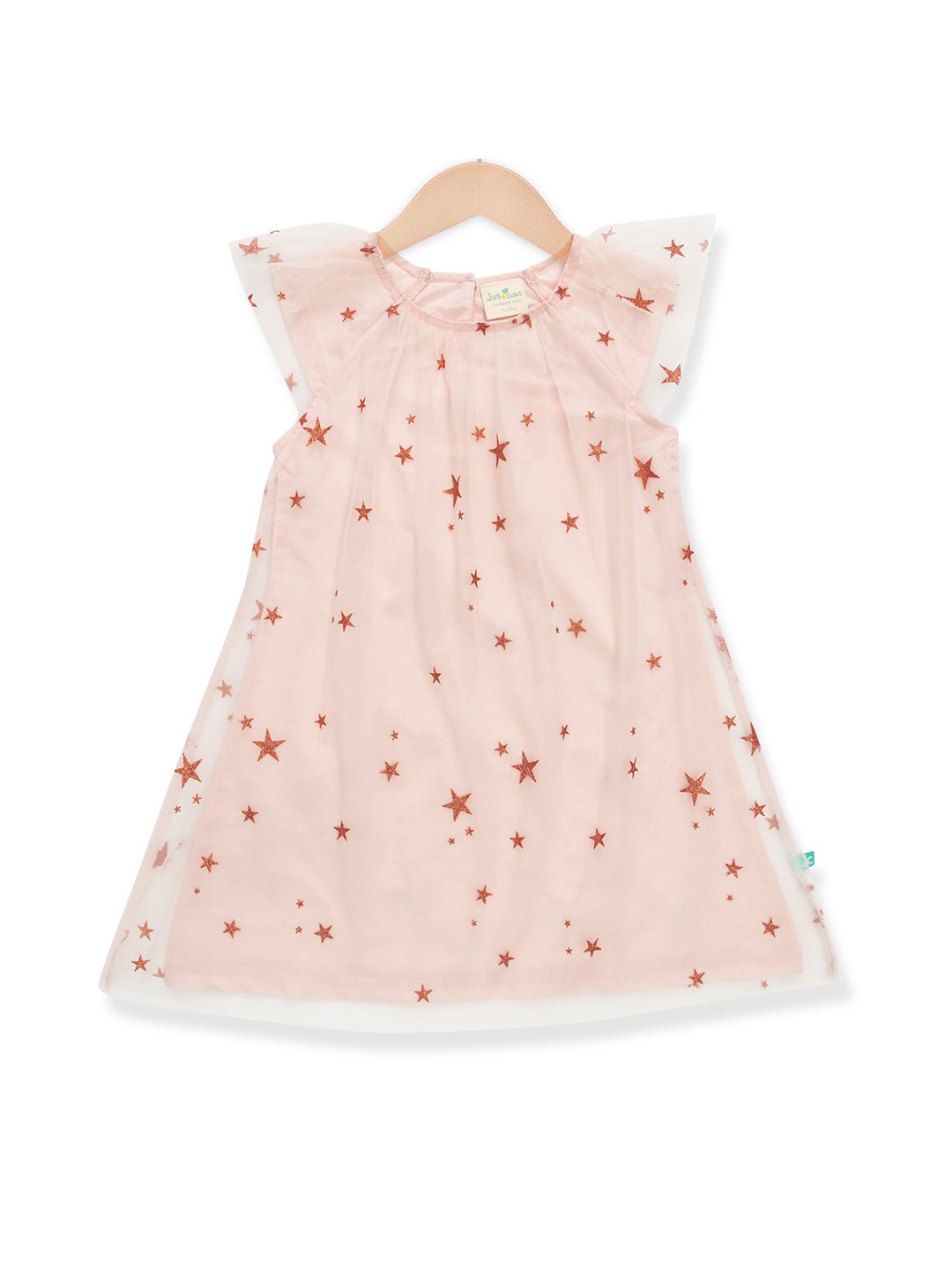 JusCubs Conversational Self Design A-Line Net Dress