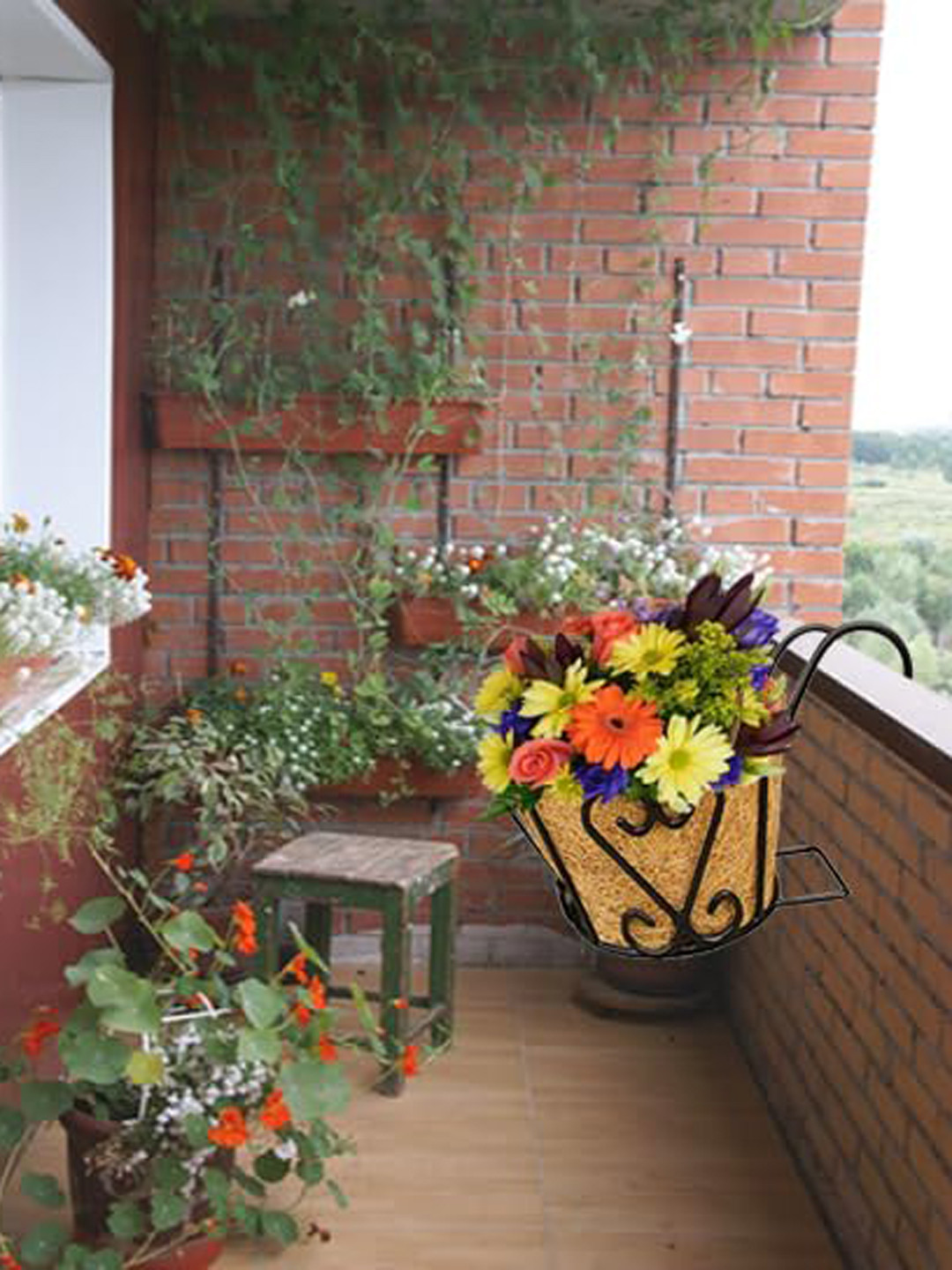 Garden Deco Black 5 Pieces Metal  Double Hook Beautiful Wall Pot Planter