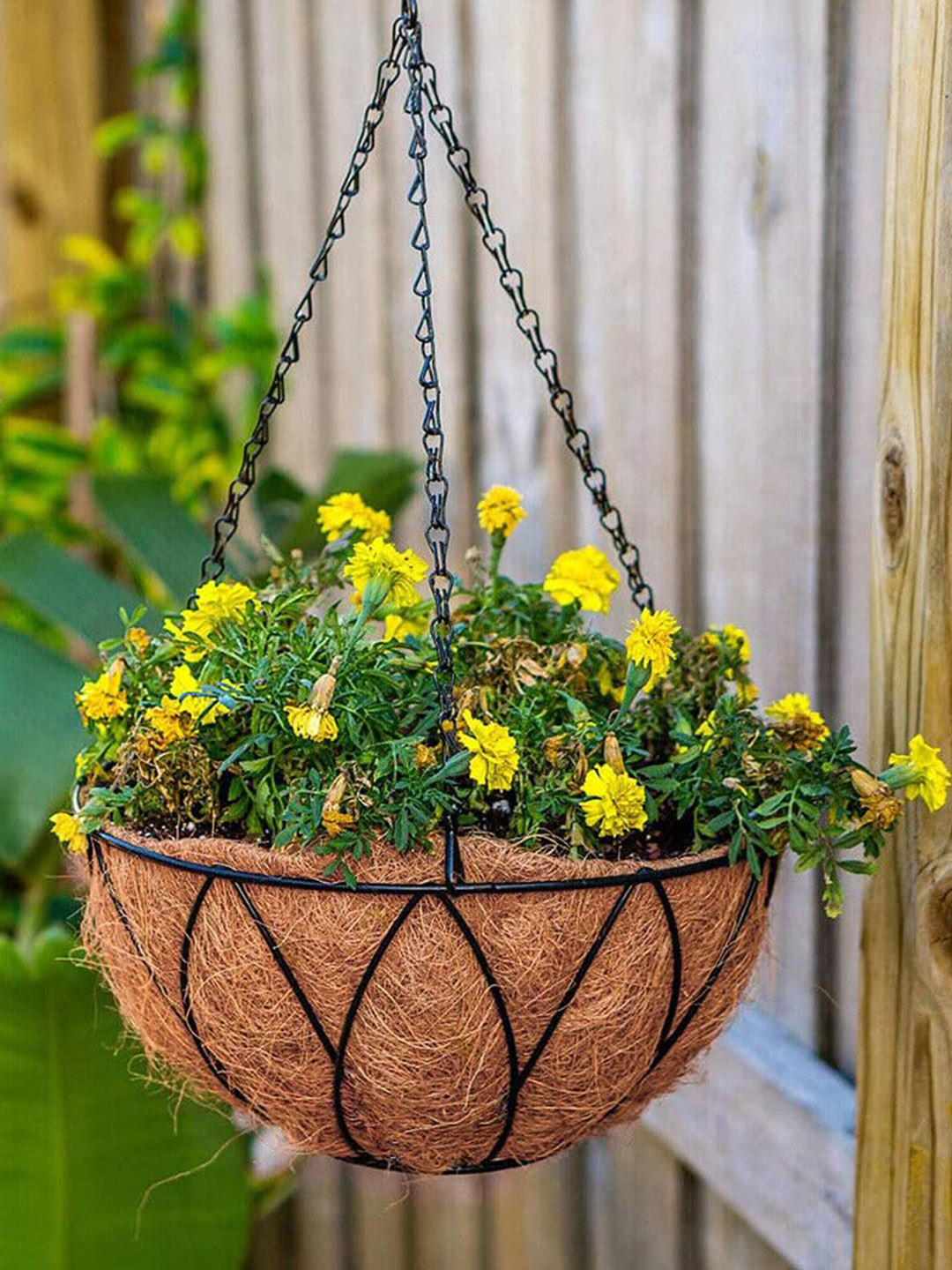 Garden Deco Black & Brown 4 Pieces Hanging Basket with Coir Liner for Planter